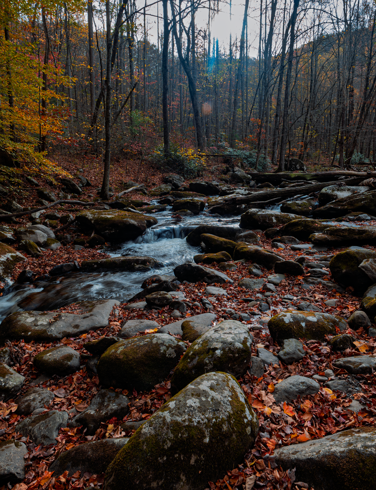 Landscape