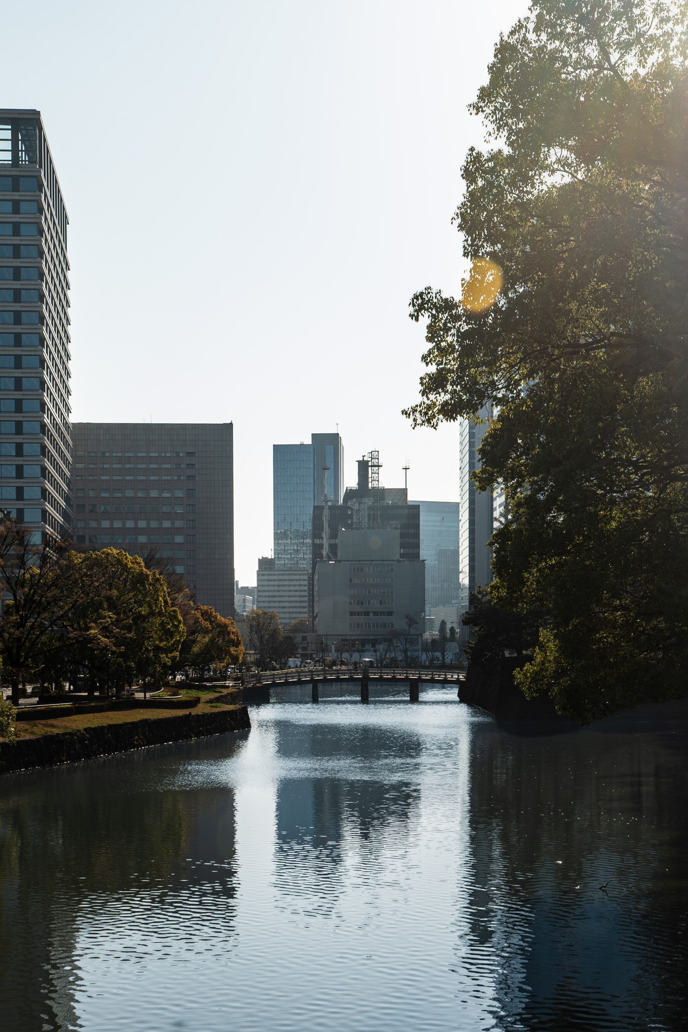 Urban canal reflecting city skyscrapers and lush green trees on a sunny day in Tokyo, Japan.