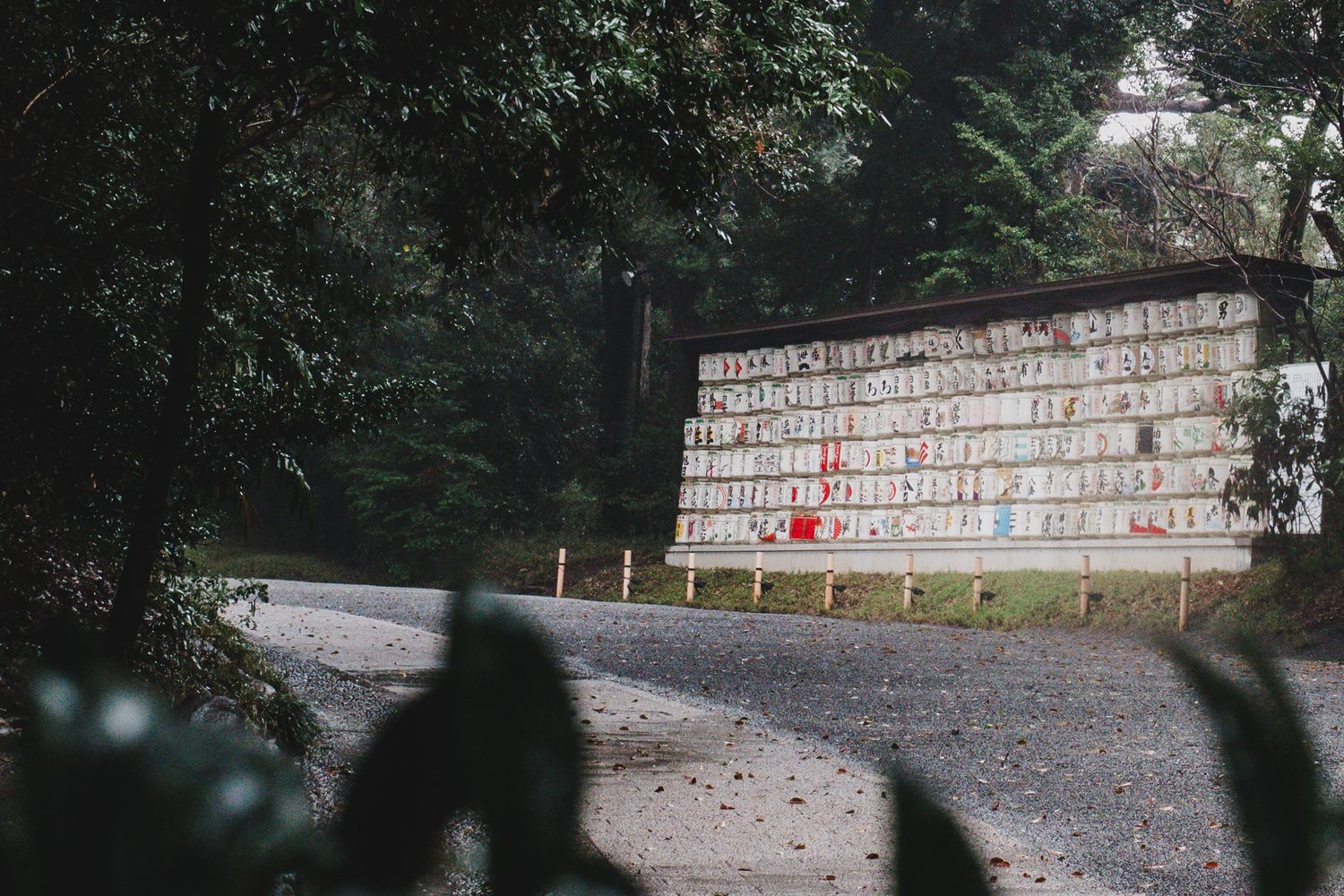 Rows of traditional Japanese sake barrels displayed outdoors near a forest path at a Shinto shrine.