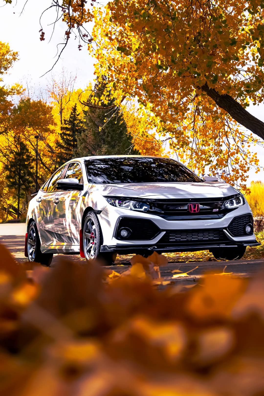 Line of modern Honda cars parked among fallen autumn leaves with golden trees in background.
