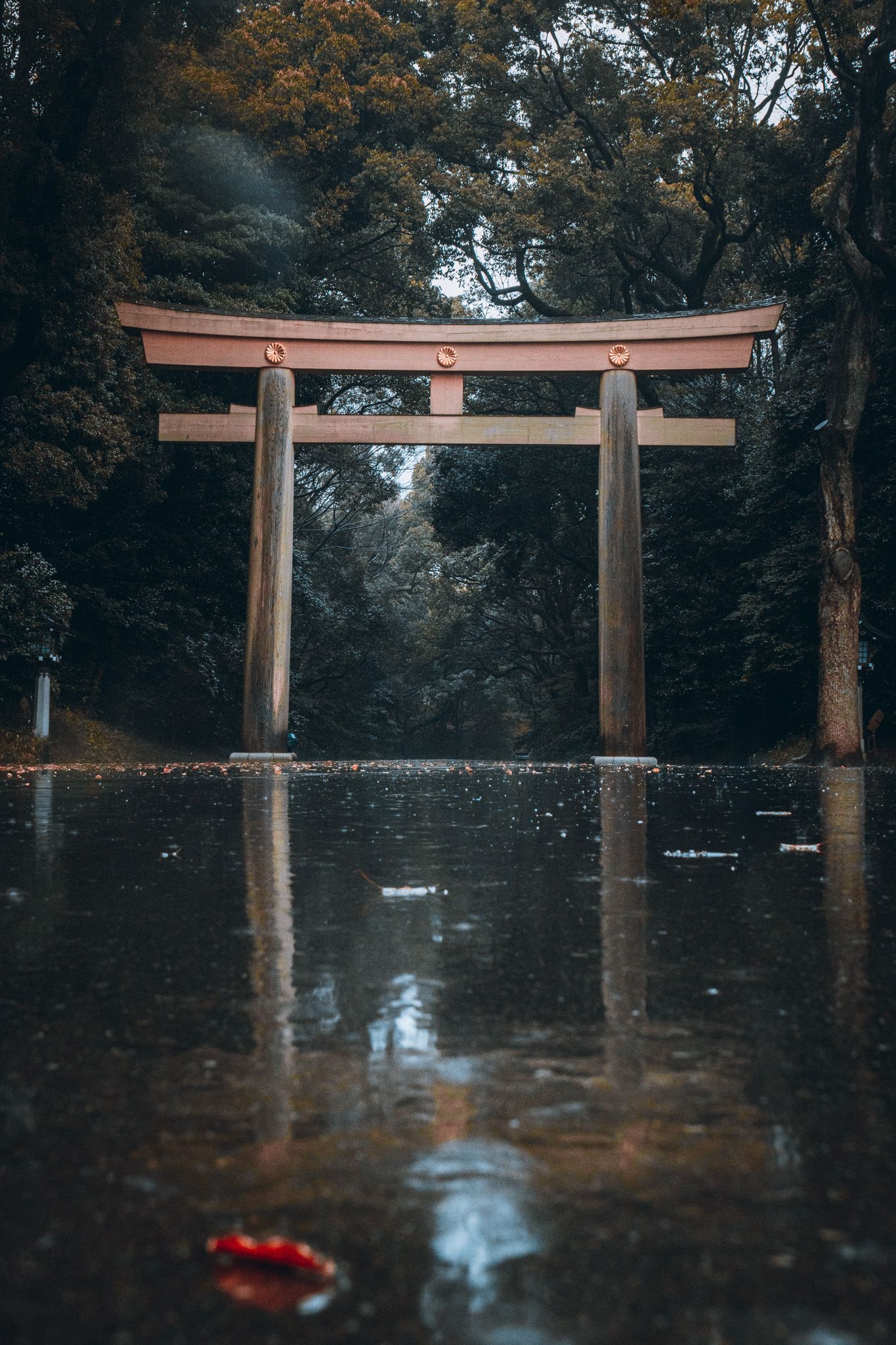 Traditional Japanese torii gate reflected in rain puddles surrounded by lush autumn forest trees.