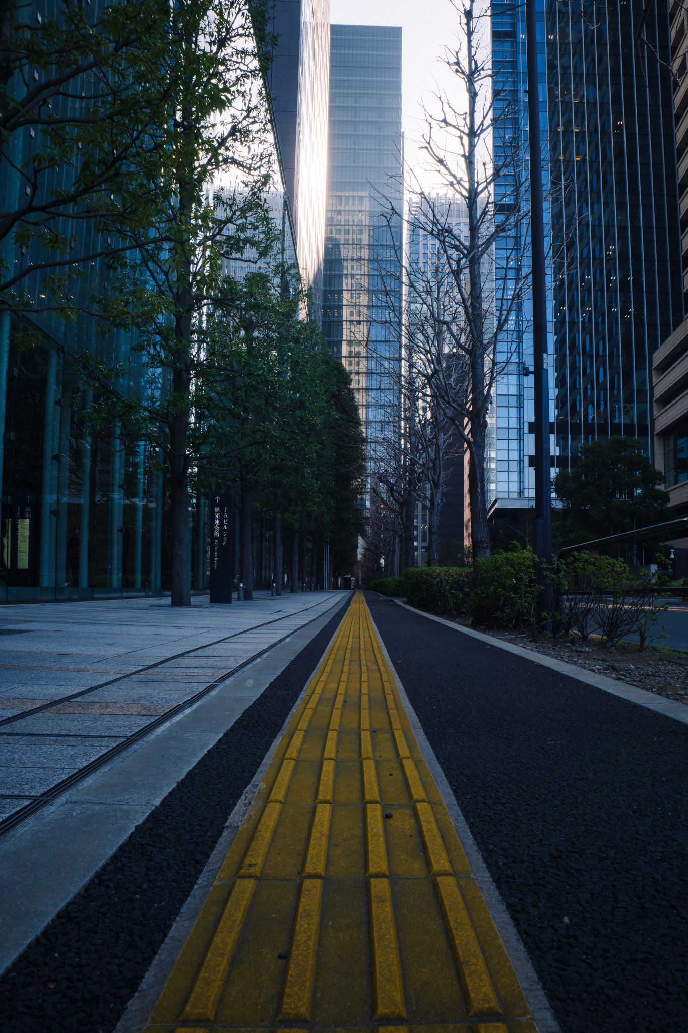 Yellow tactile paving leads down an empty urban sidewalk flanked by trees and glass skyscrapers.