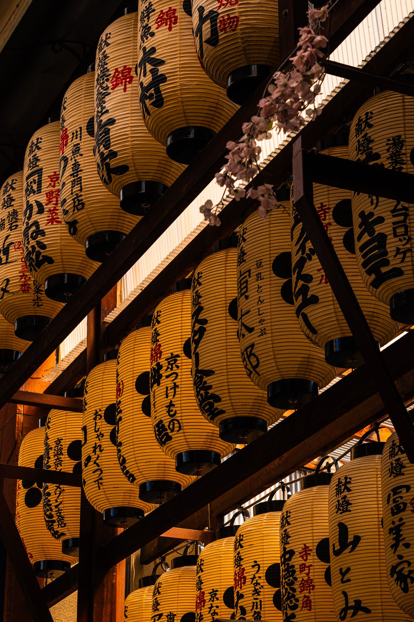 Rows of glowing golden Japanese paper lanterns with black kanji calligraphy hanging on wooden frames at night.