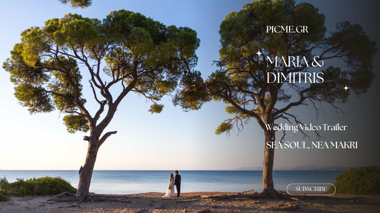A couple poses beside a pine tree overlooking the ocean coastline during a romantic sunset photoshoot.