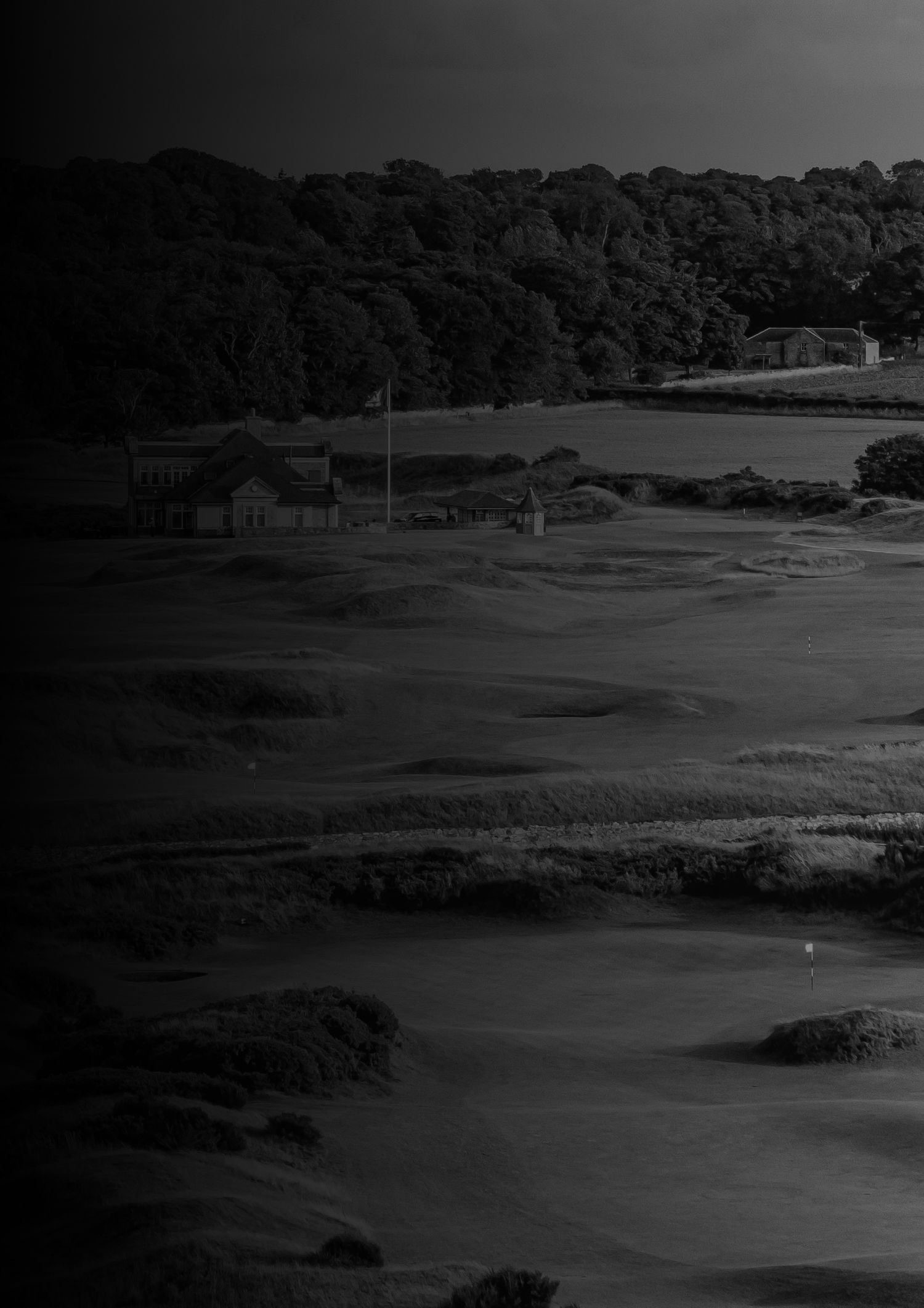 Portrait image of golf course in back and white