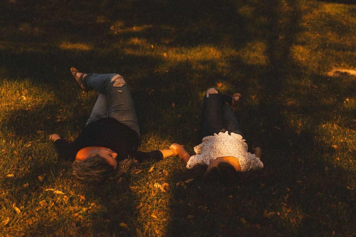 Group poses casually on ground during sunset photography session with golden lighting.