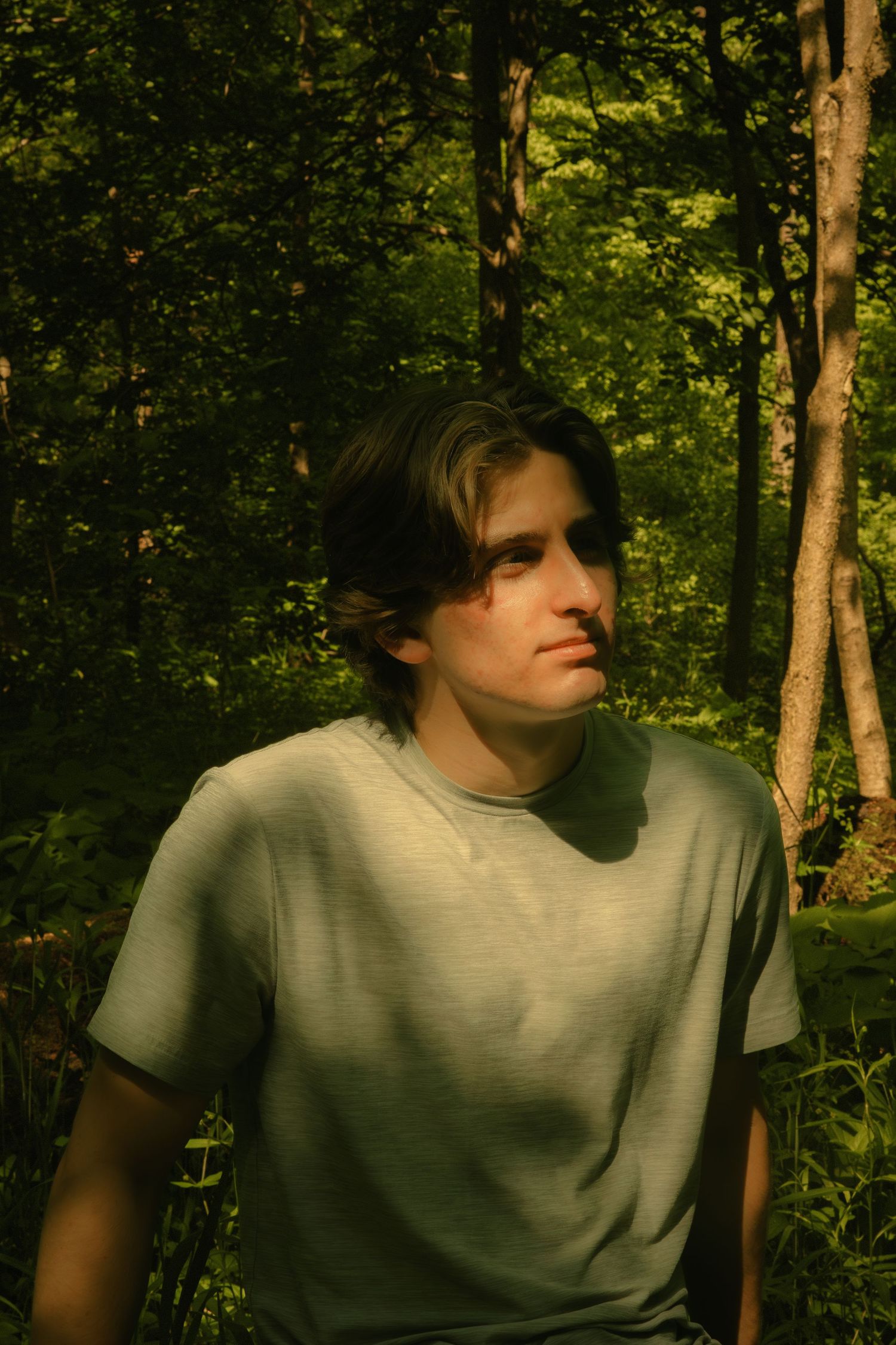 Young man with brown hair in a gray t-shirt standing in a lush green forest with sunlight filtering through trees.