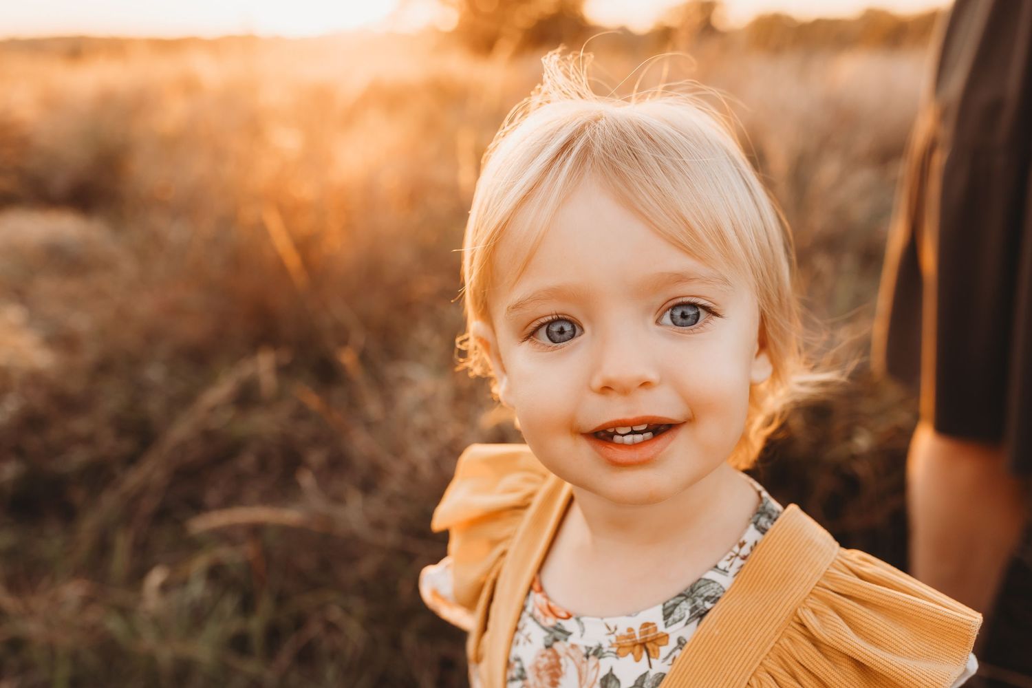 Smiling toddler girl with blonde hair and blue eyes wearing a yellow ruffle dress in a golden sunlit field.