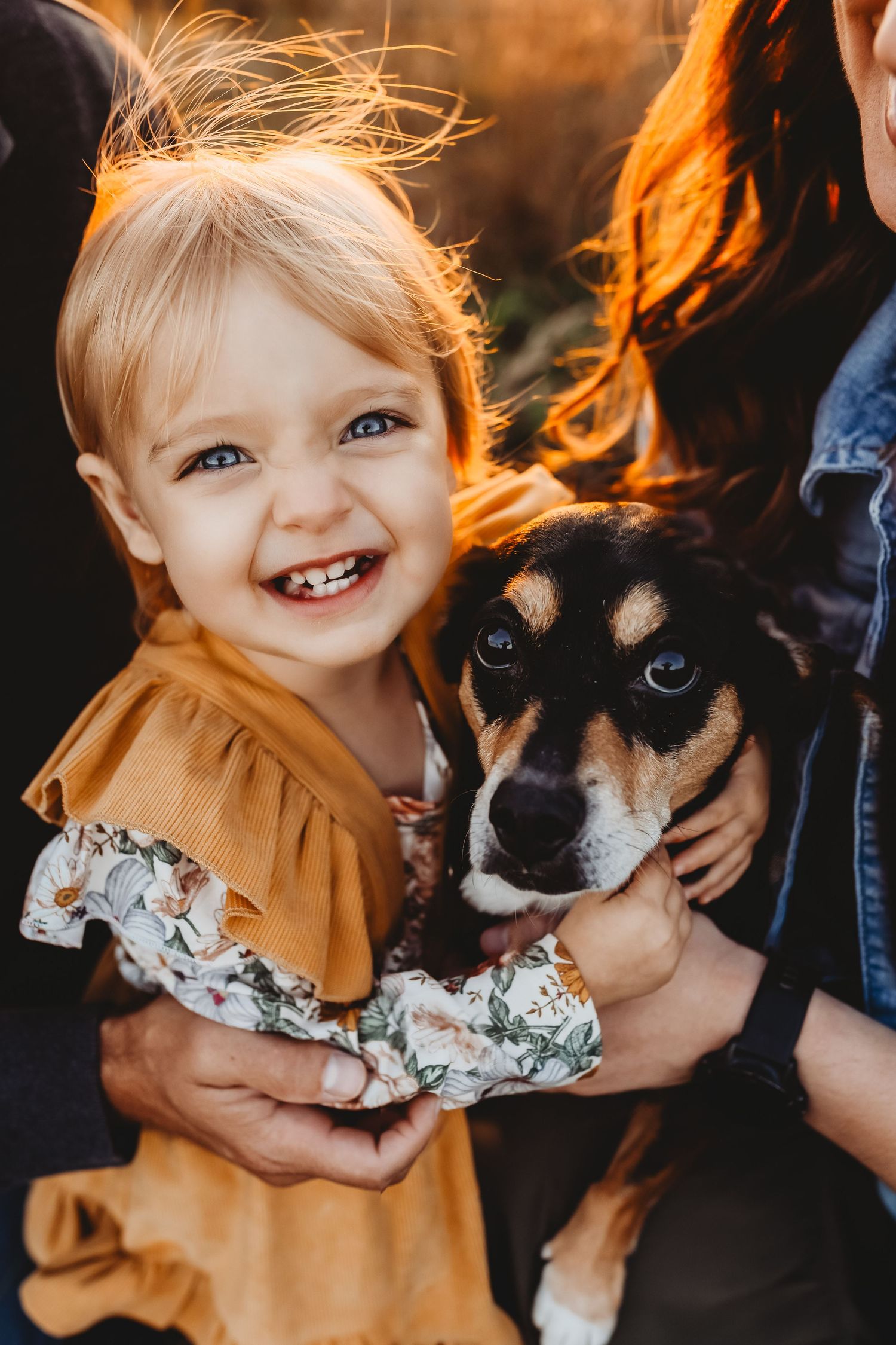 Smiling toddler girl with blue eyes in mustard dress holds a beagle mix dog in golden sunset light.