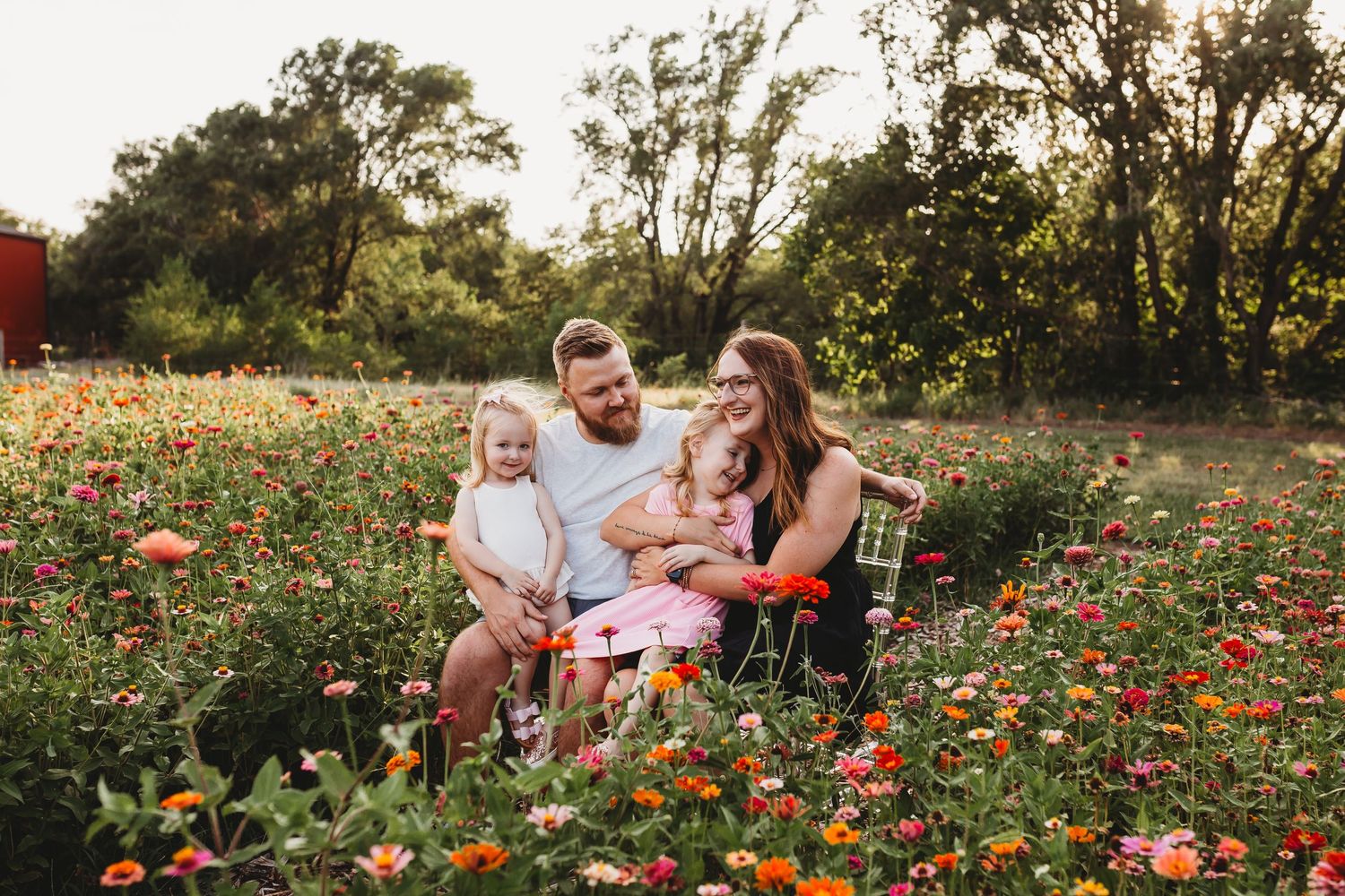 Happy family of four laughing together in a colorful zinnia flower field at golden hour.