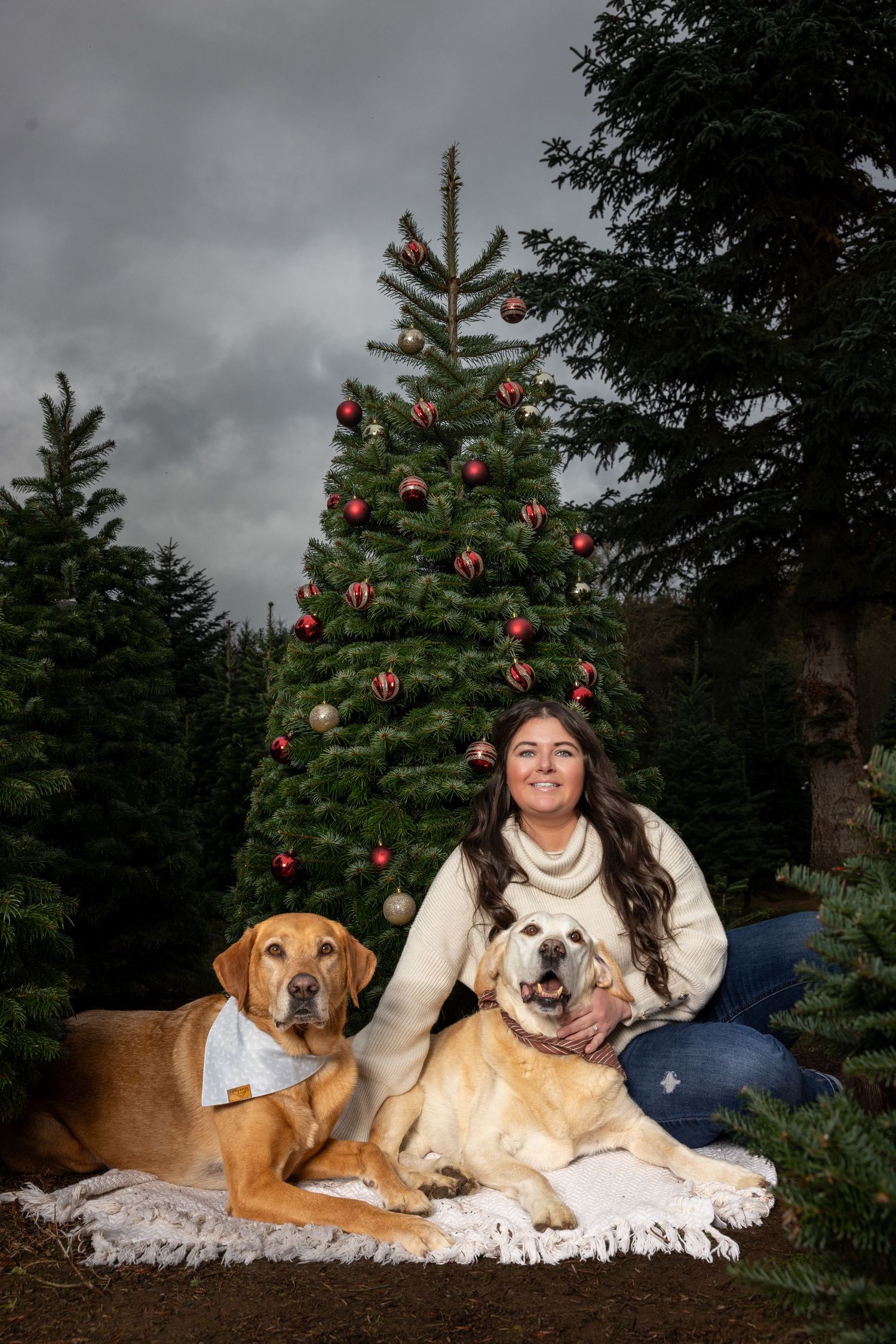 Holiday portrait with two dogs on blanket by decorated Christmas tree outdoors.