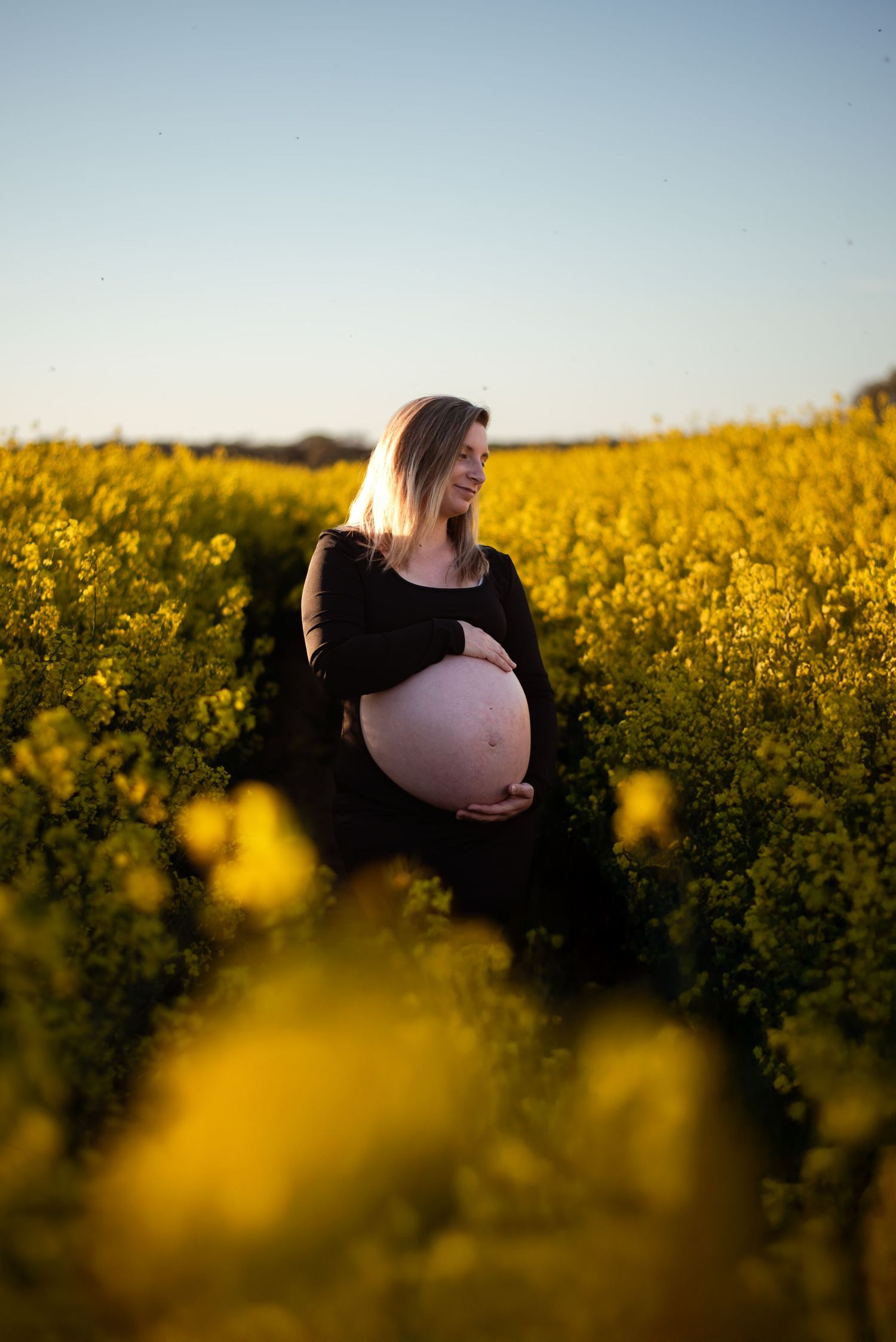 Pregnant woman in black dress cradling her baby bump in a vibrant yellow rapeseed field at golden hour.