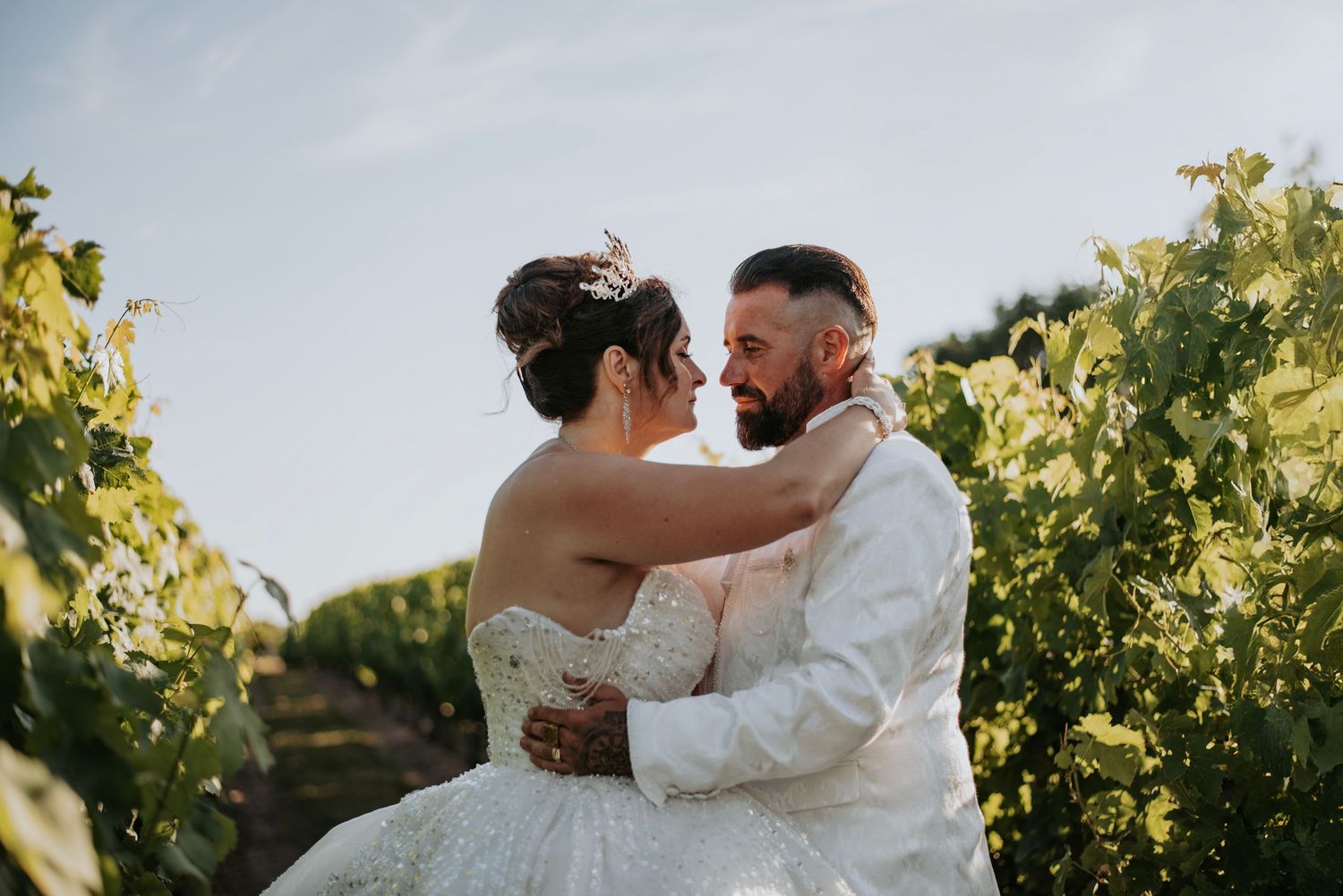 A romantic moment between newlyweds embracing in a sunlit vineyard during golden hour.