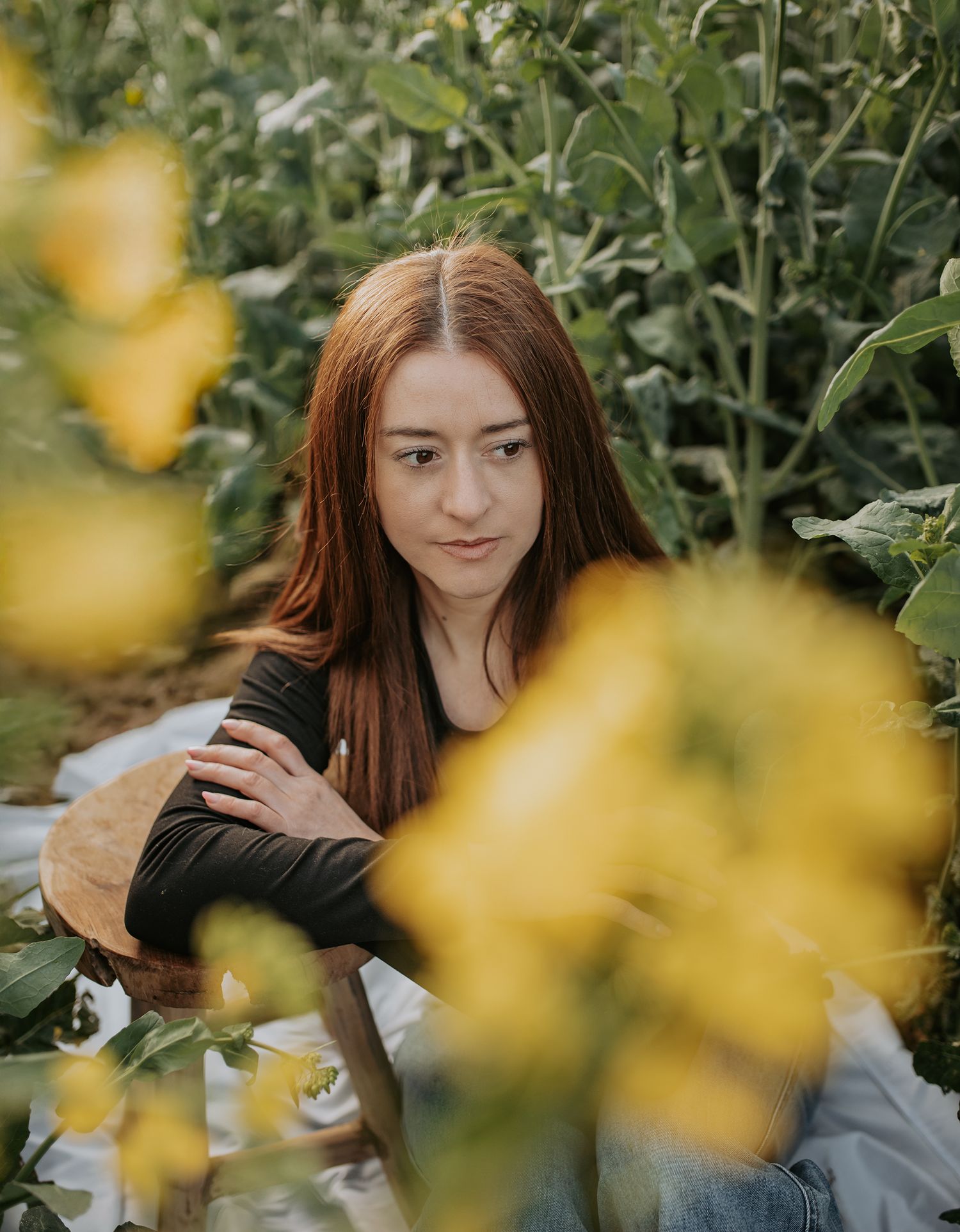 Colza ; portrait