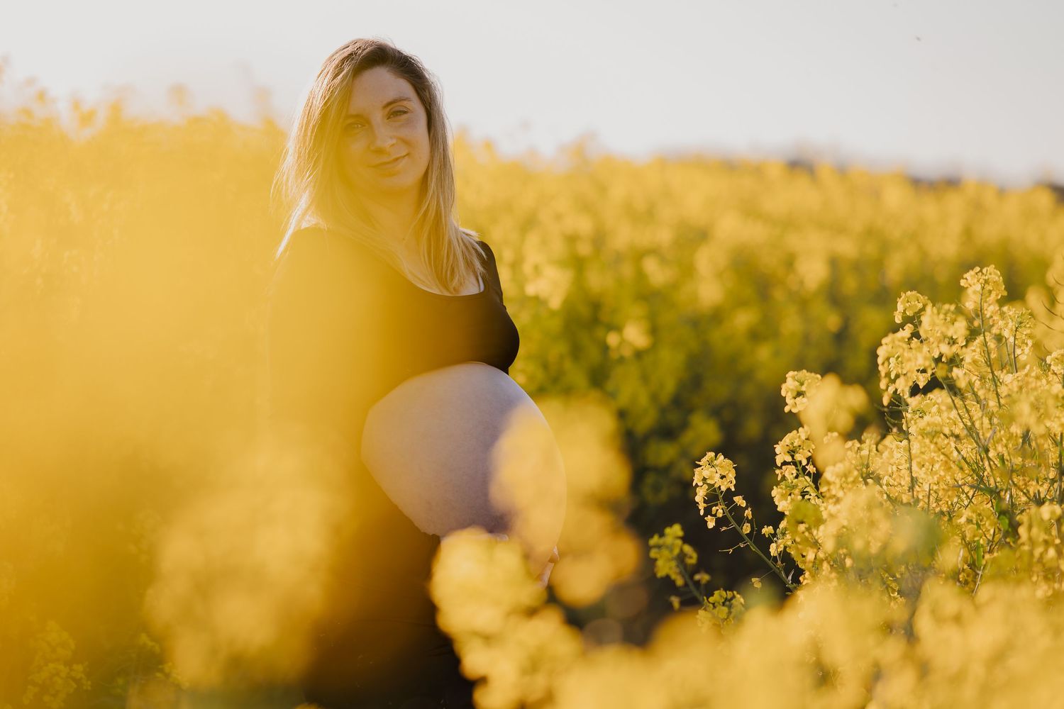 Pregnant woman sitting in a vibrant yellow canola flower field, bathed in warm golden sunlight.