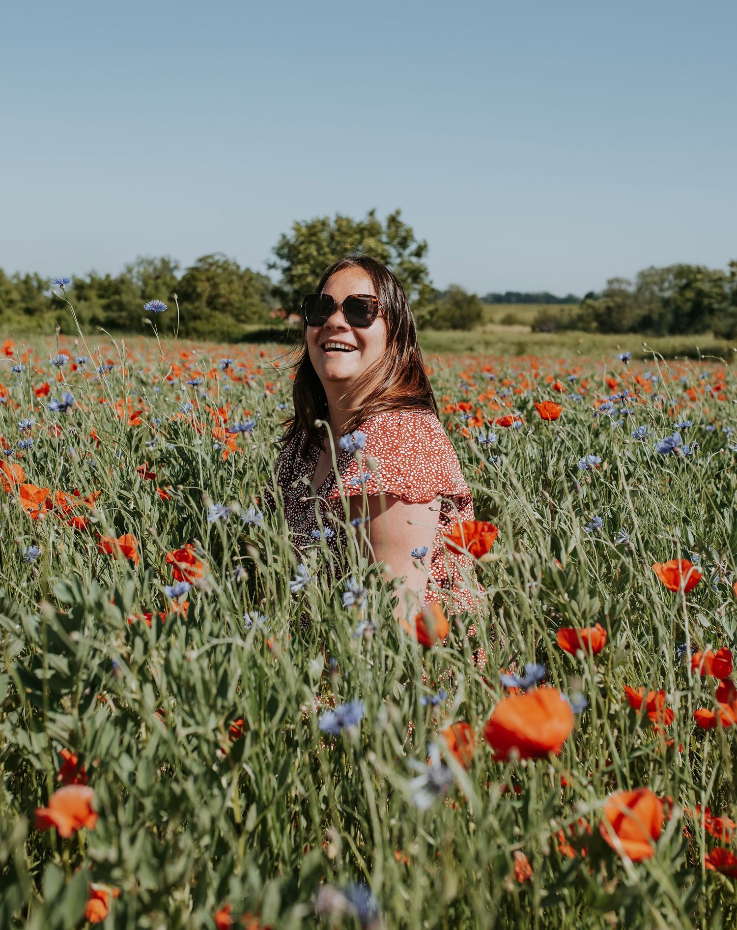 portrait, coquelicot