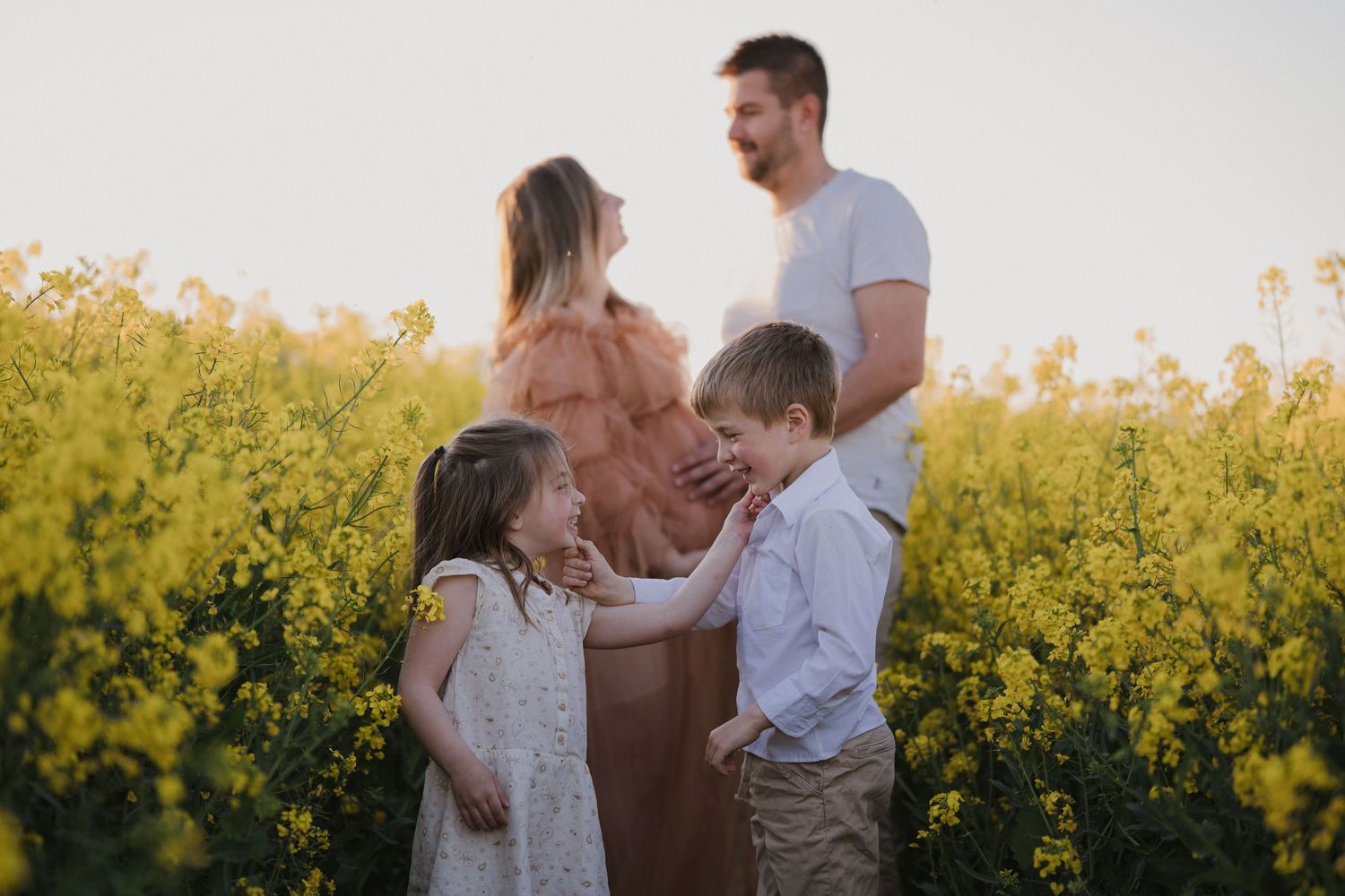 Family maternity photo in blooming yellow field, children touching pregnant mothers belly at sunset.