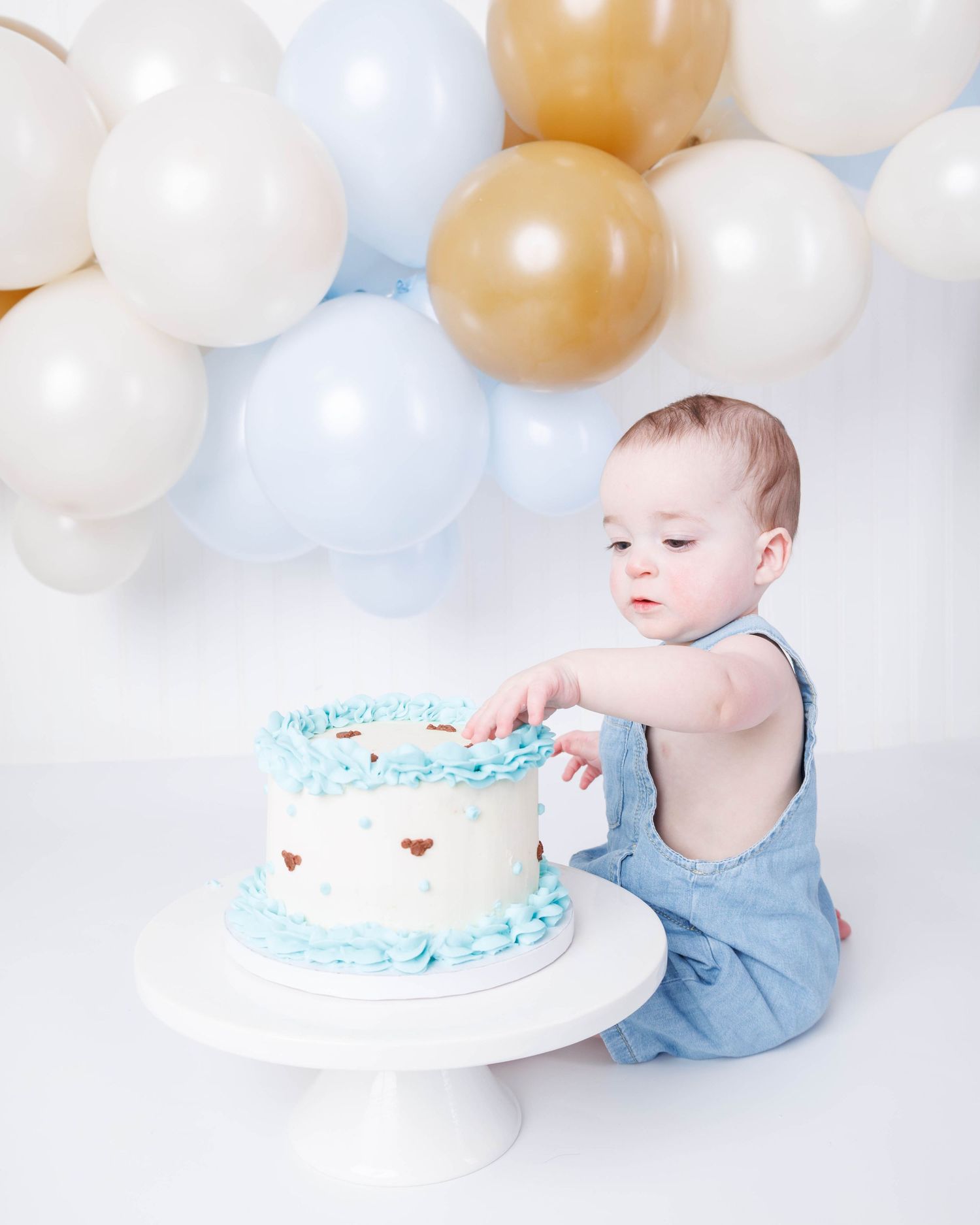 cakesmash-photographer-fayetteville-ar.jpg