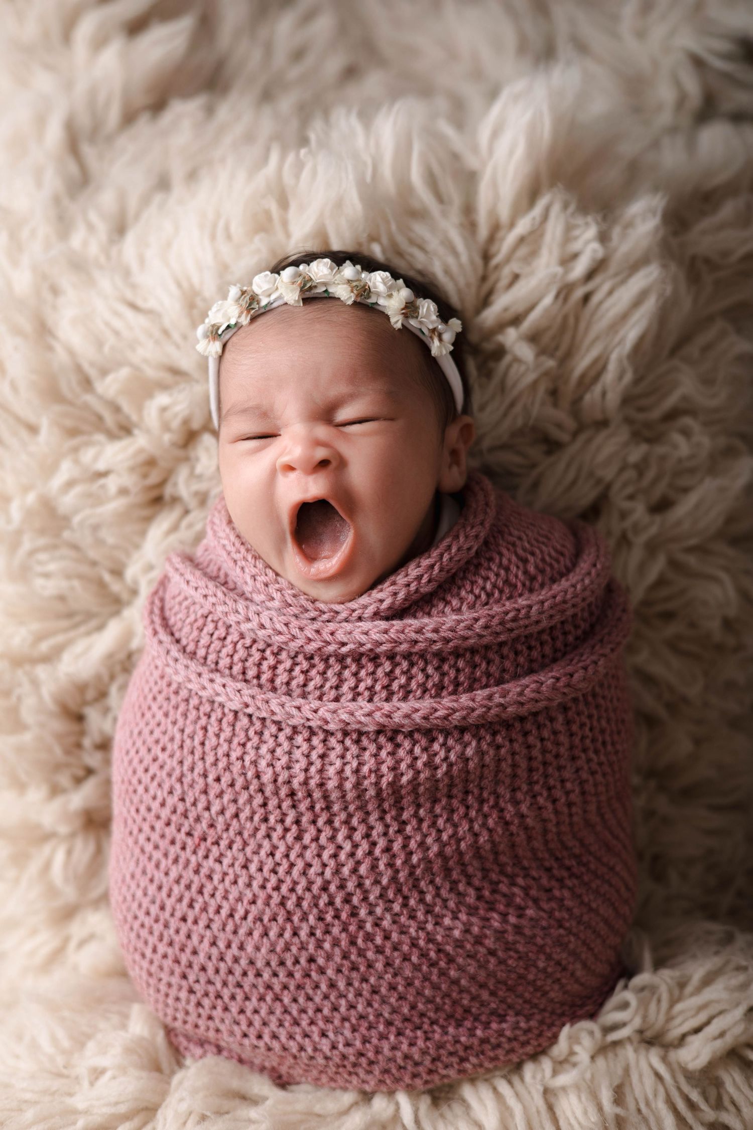 Series of newborn photos in dusty pink knit wrap showing different sleeping poses.