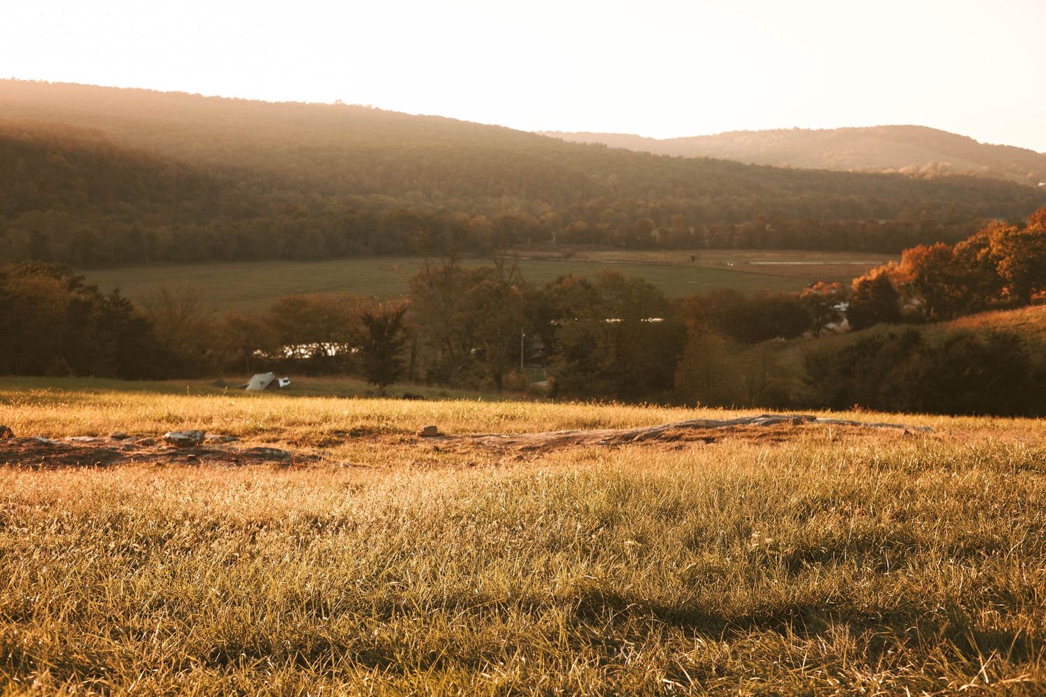 Golden hour sunlight illuminates a vast rural meadow with rolling hills and autumn foliage in the background.