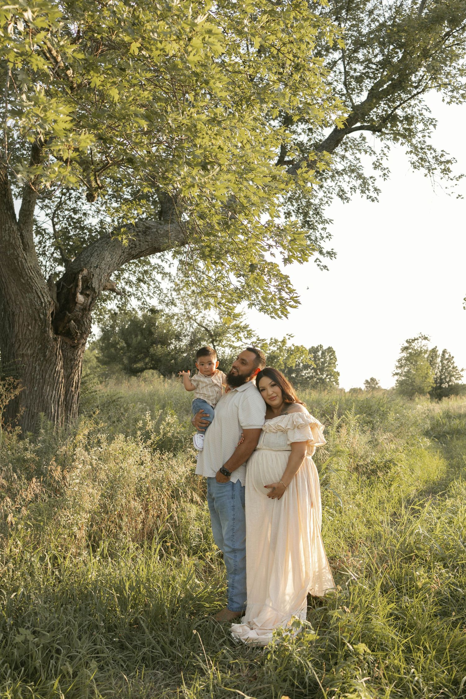 A family maternity photo shoot outdoors near a large tree, with golden sunlight illuminating the green meadow.