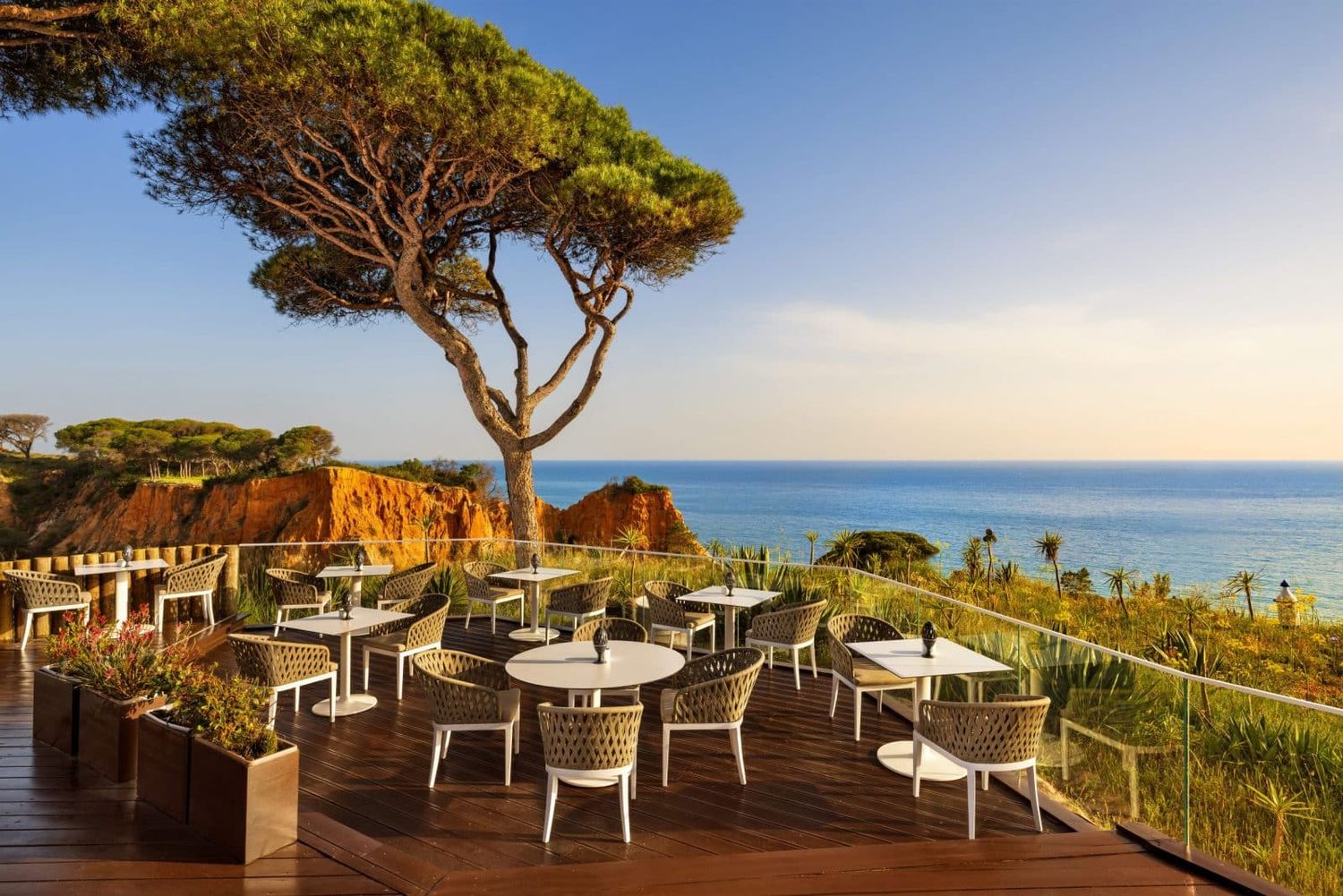 Stunning cliffside restaurant terrace with wicker chairs, pine tree, and breathtaking golden hour ocean views.