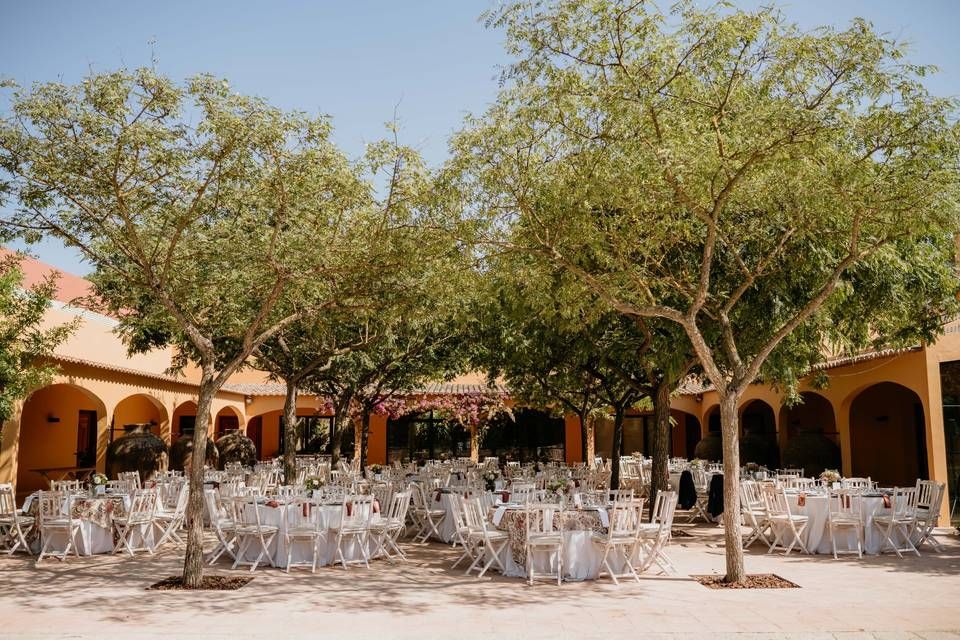 Outdoor wedding reception under mature trees in a courtyard with white chairs and round tables set for dining.