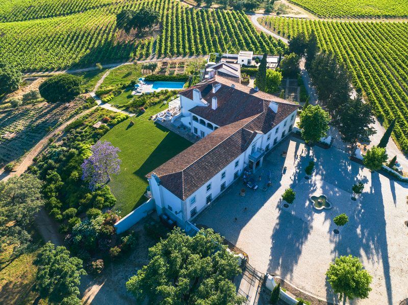 Aerial view of a grand white Portuguese wine estate surrounded by lush green vineyards at sunset.