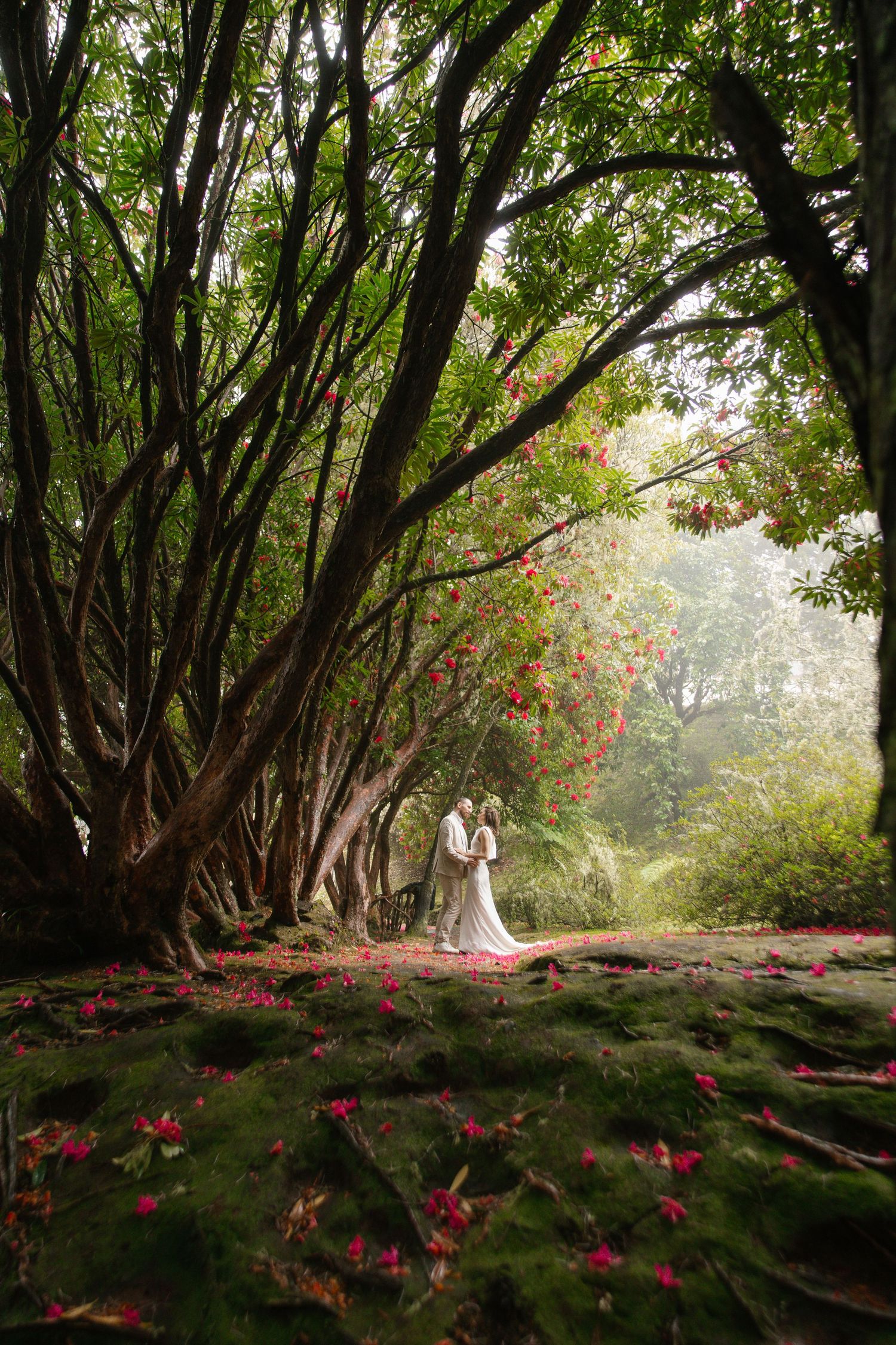 Couple embracing in a magical forest tunnel with red flowers and twisted trees.