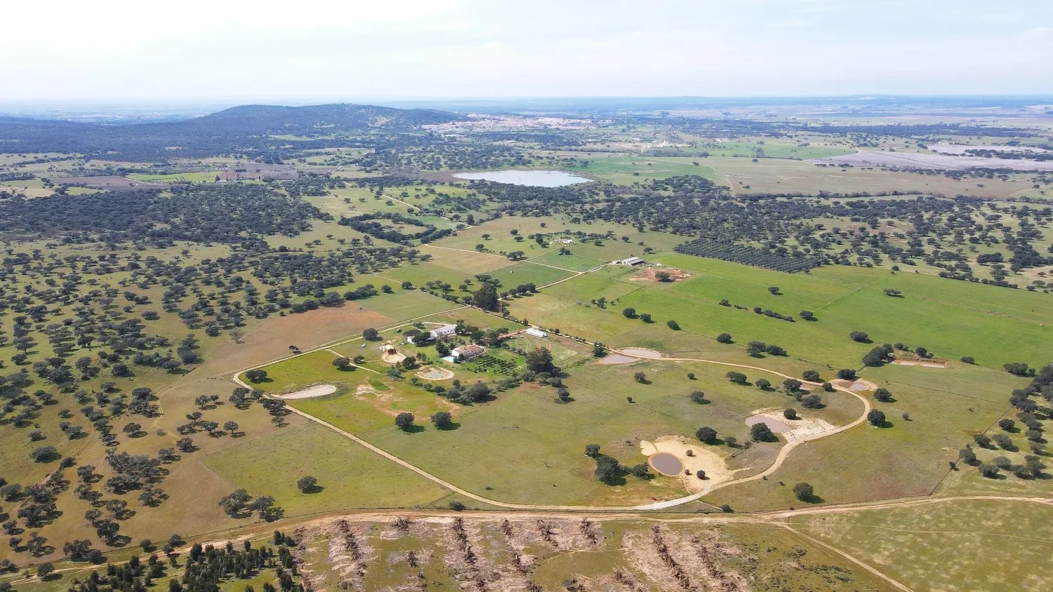 Aerial view of a sprawling rural estate surrounded by oak trees and green fields with a lake in the distance.