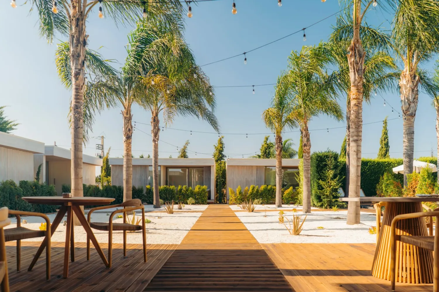 Sunny outdoor wedding venue patio with palm trees, string lights, wooden deck, and garden seating area.