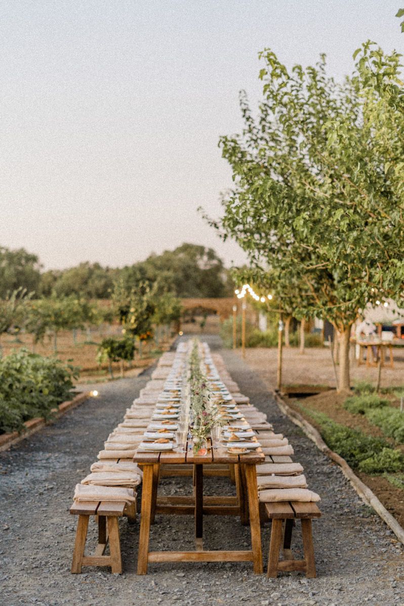 Long rustic wooden farm table with benches set for an outdoor wedding dinner surrounded by olive trees at dusk.