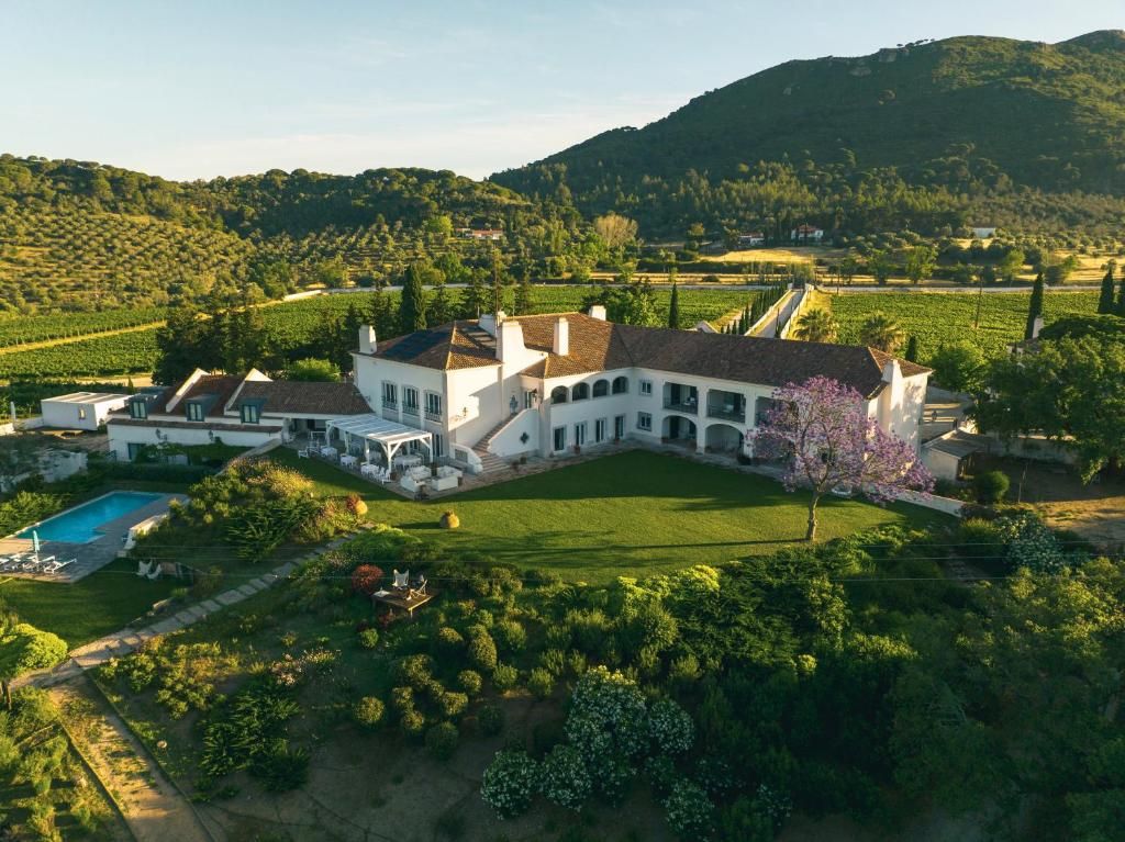 Bird's-eye view of a white Alentejo wine estate mansion nestled among vineyards and olive trees.