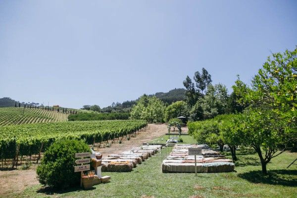 Rustic outdoor wedding ceremony setup with wooden benches among lush vineyard rows on a sunny day.