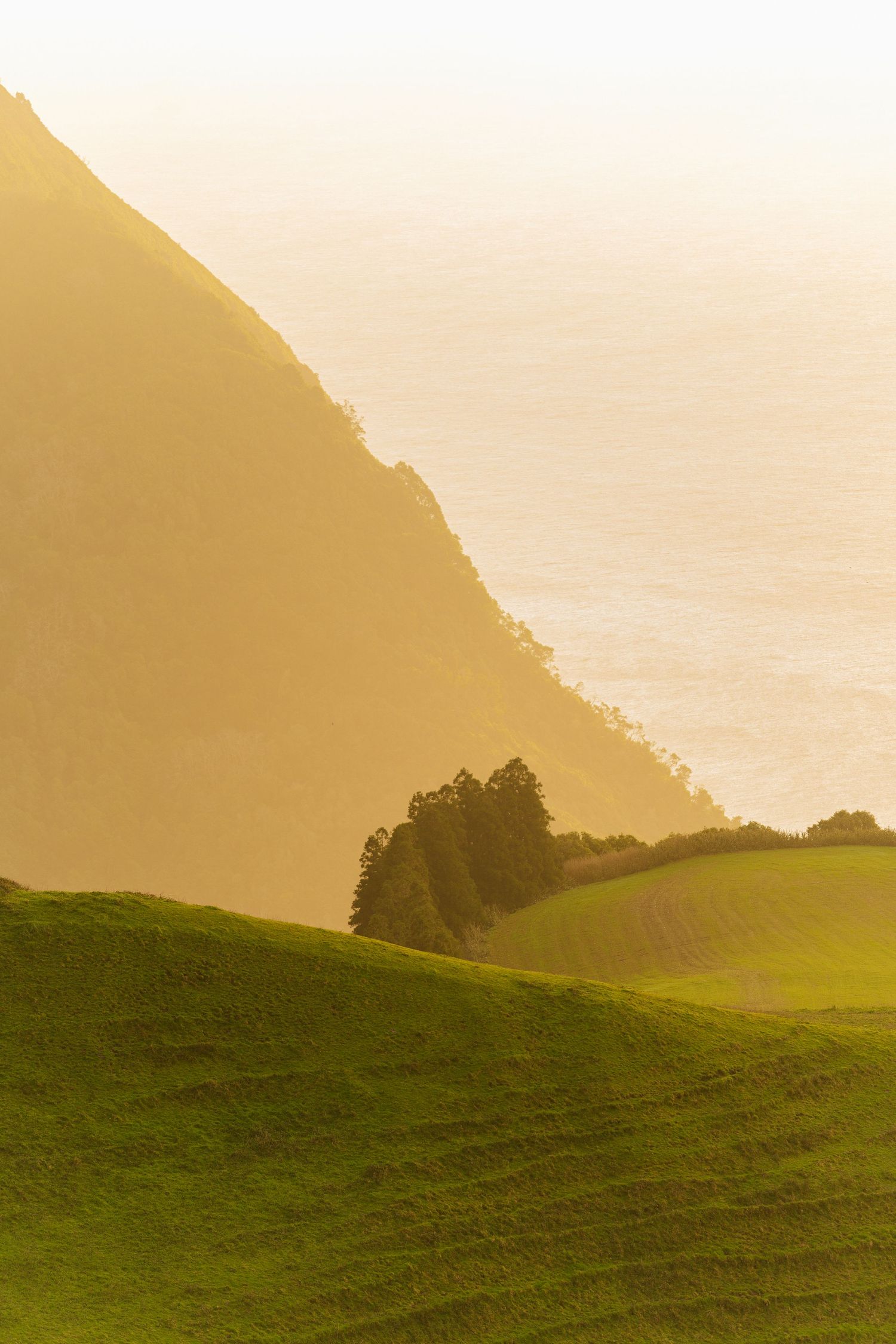 Sunrise over lush green hills with morning mist in the Azores