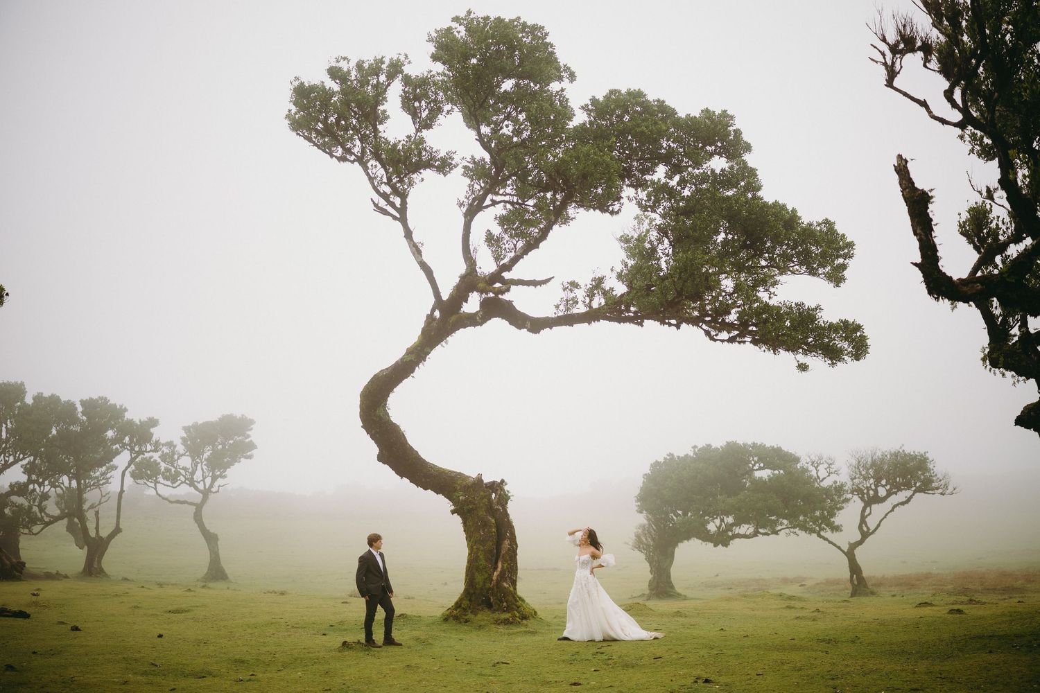 Bride and groom stand apart near a twisted tree in a misty, fog-covered green meadow during their wedding.