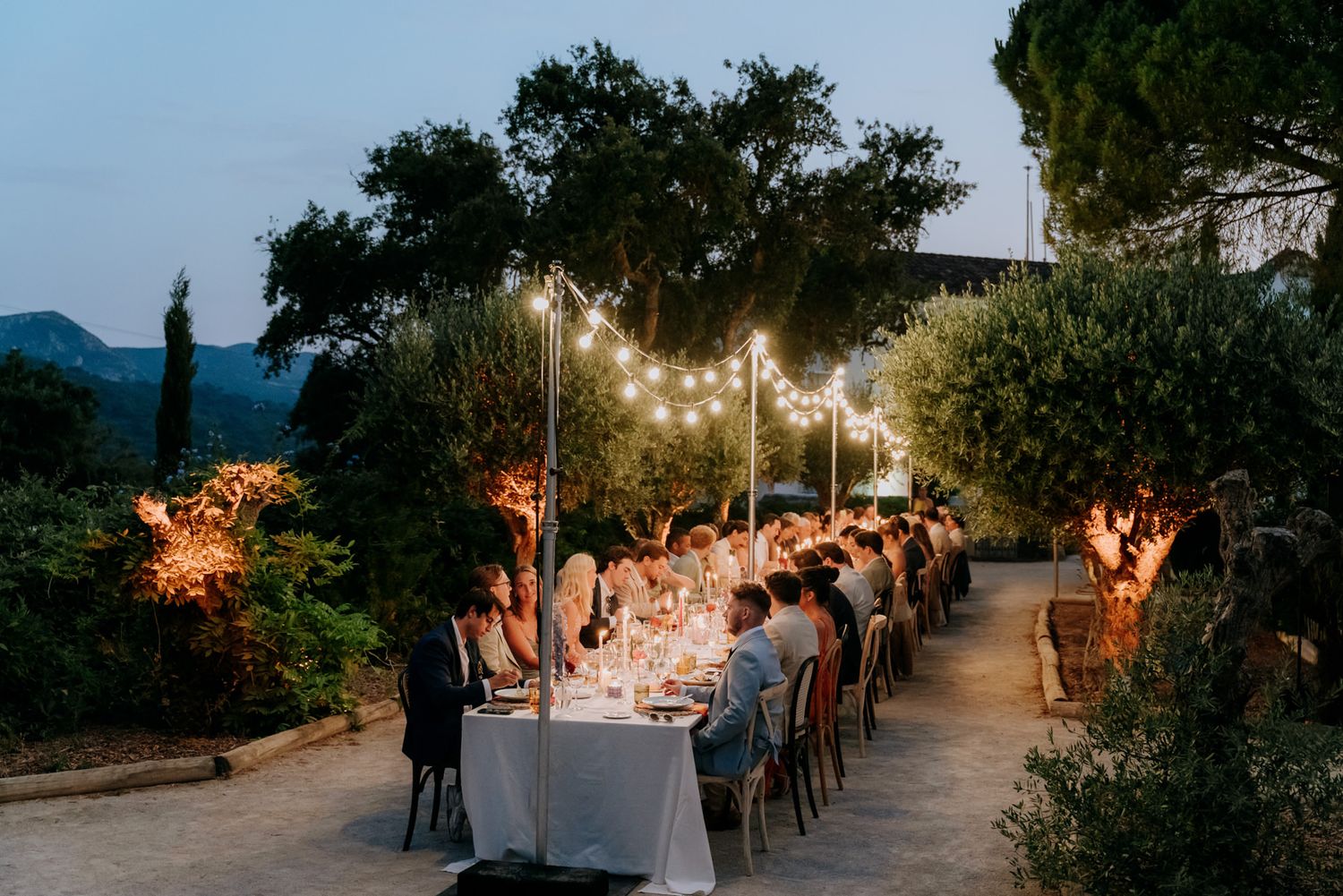 Guests dine at a long candlelit table under festoon lights during an al fresco evening wedding.
