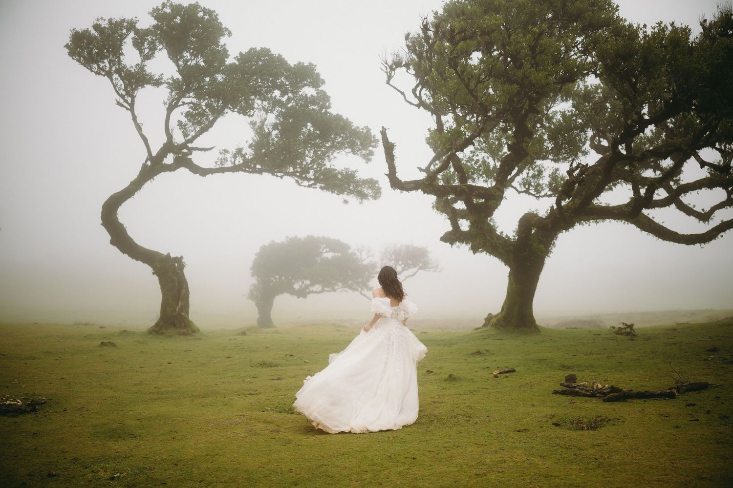 Bride in flowing white gown twirls gracefully in a foggy meadow surrounded by ancient gnarled laurel trees.