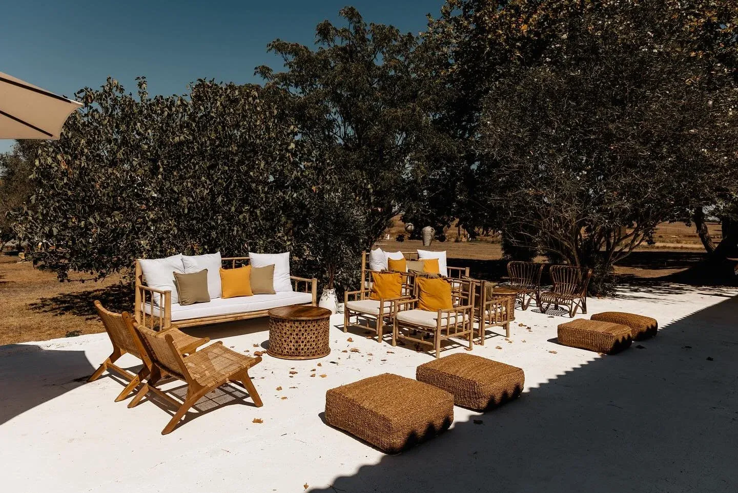 Outdoor lounge area with wooden furniture, white cushions, yellow pillows, and ottomans under olive trees.