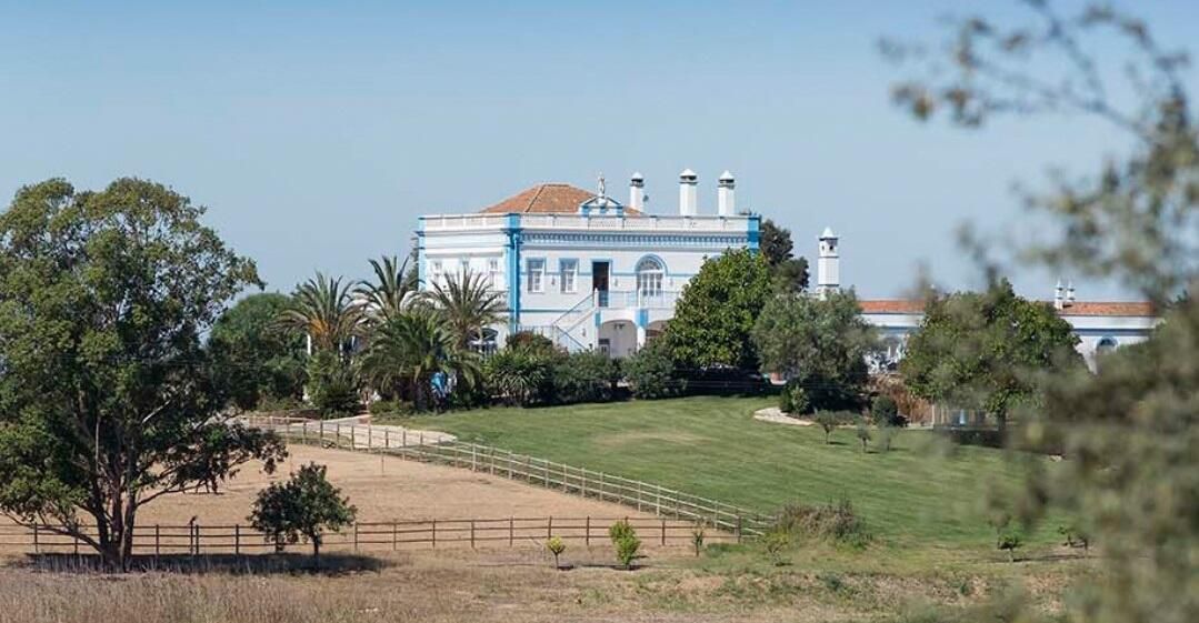 Grand blue Portuguese manor house set among palm trees and open fenced fields under a clear sky.