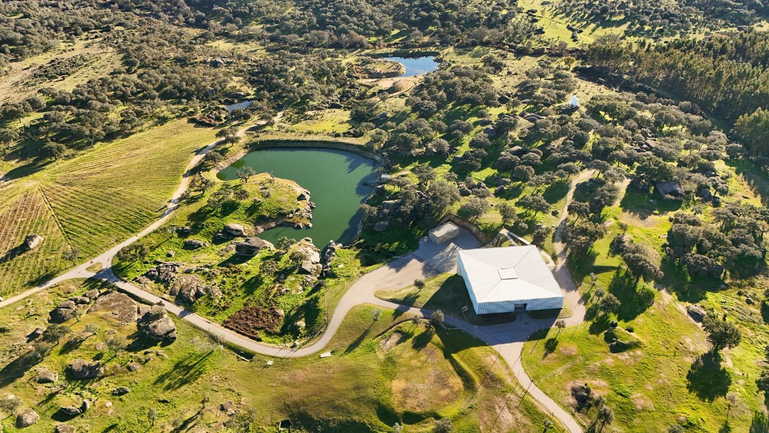 Aerial view of a rural wedding venue with a pond, vineyard, and modern barn building surrounded by rolling hills.