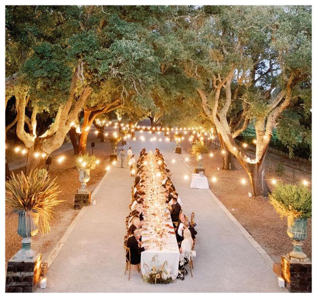Romantic outdoor wedding dinner under oak trees with string lights and a long elegantly decorated table.