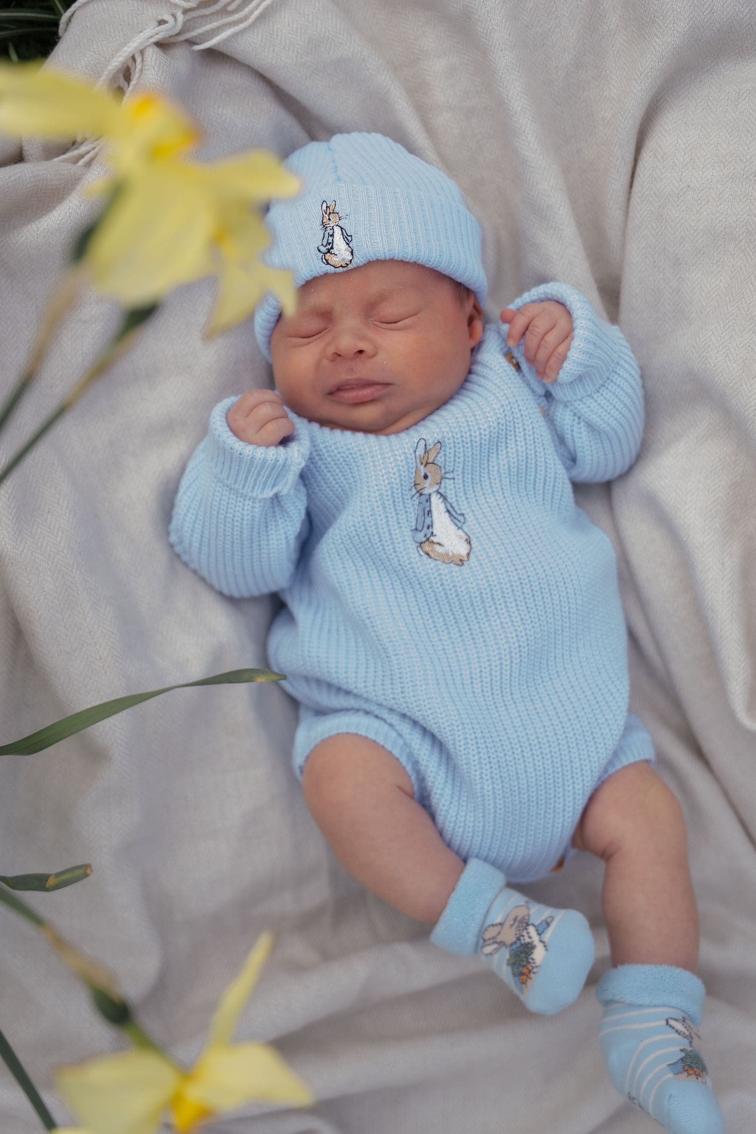 Sleeping newborn baby in blue Peter Rabbit knit outfit lying among yellow daffodils.
