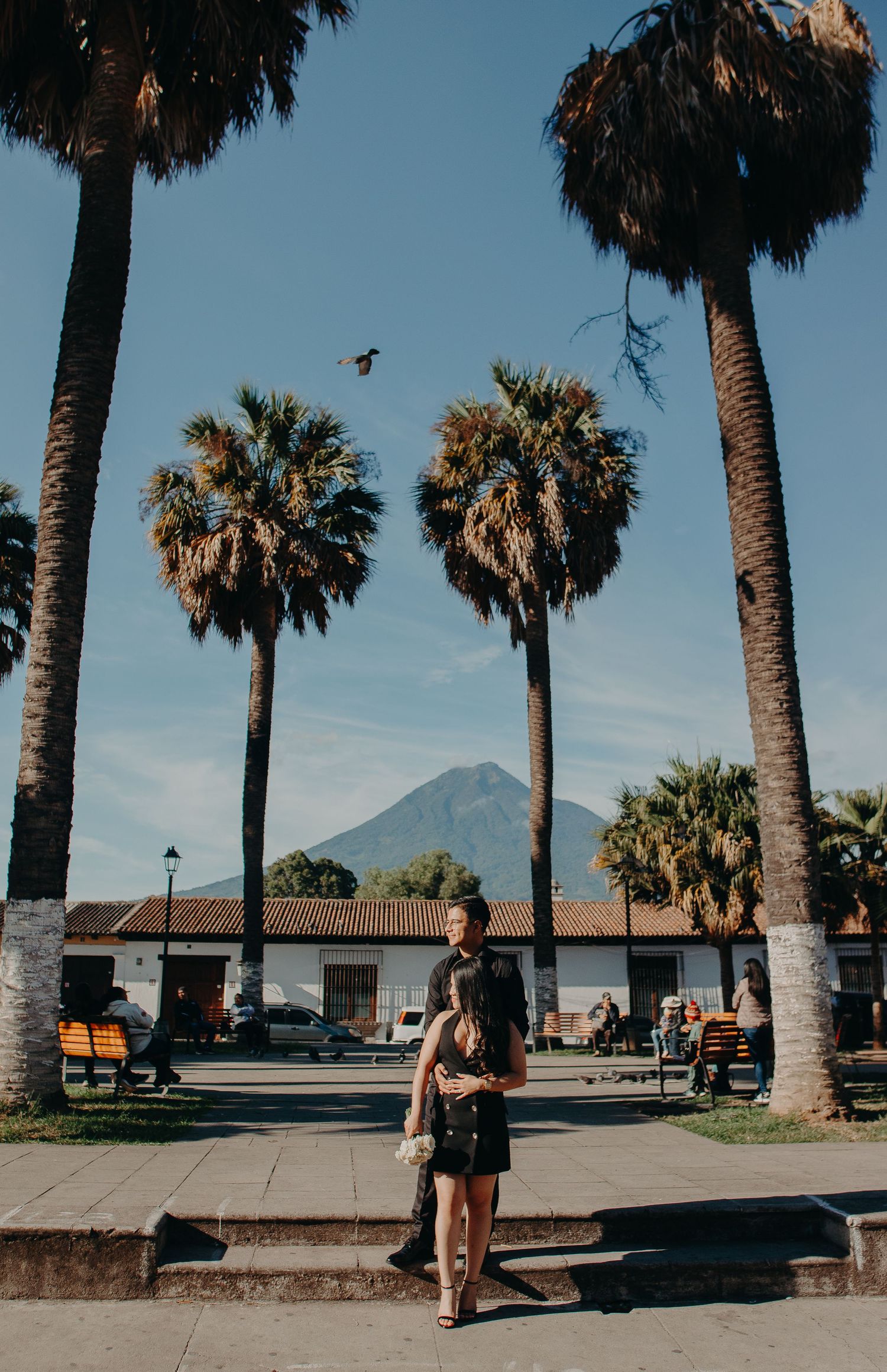 Palm trees line a sunny coastal promenade with benches and mountain views in the distance.