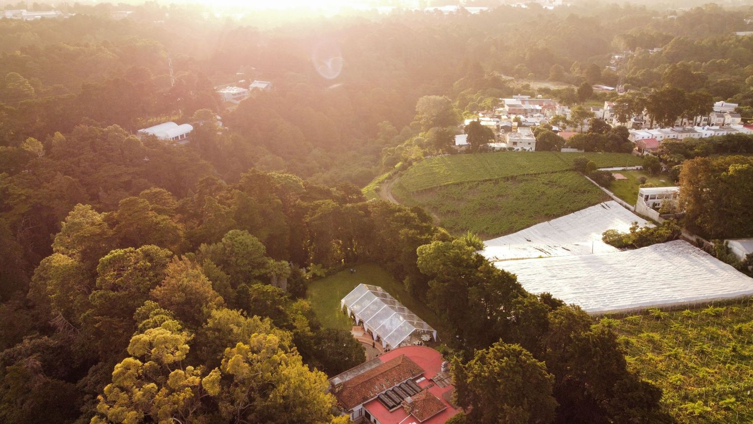 Aerial view of lush green forest surrounding elegant estate buildings bathed in golden sunset light.