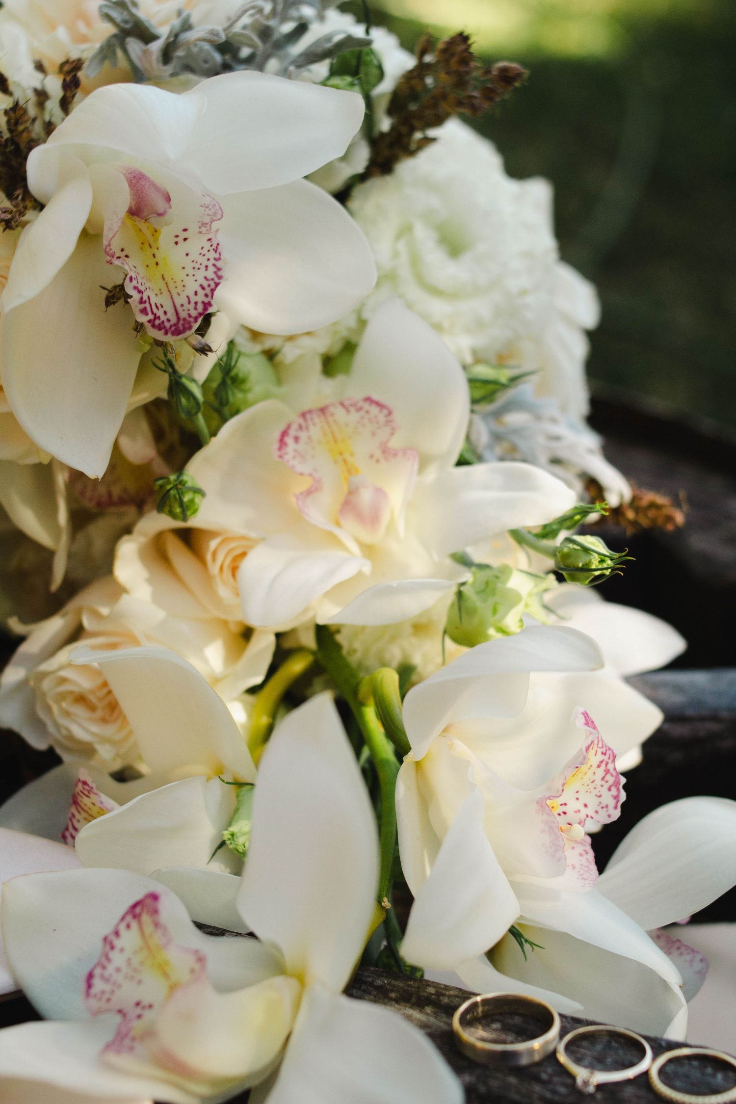 Close up of elegant white orchids and roses in a bridal bouquet with wedding rings.