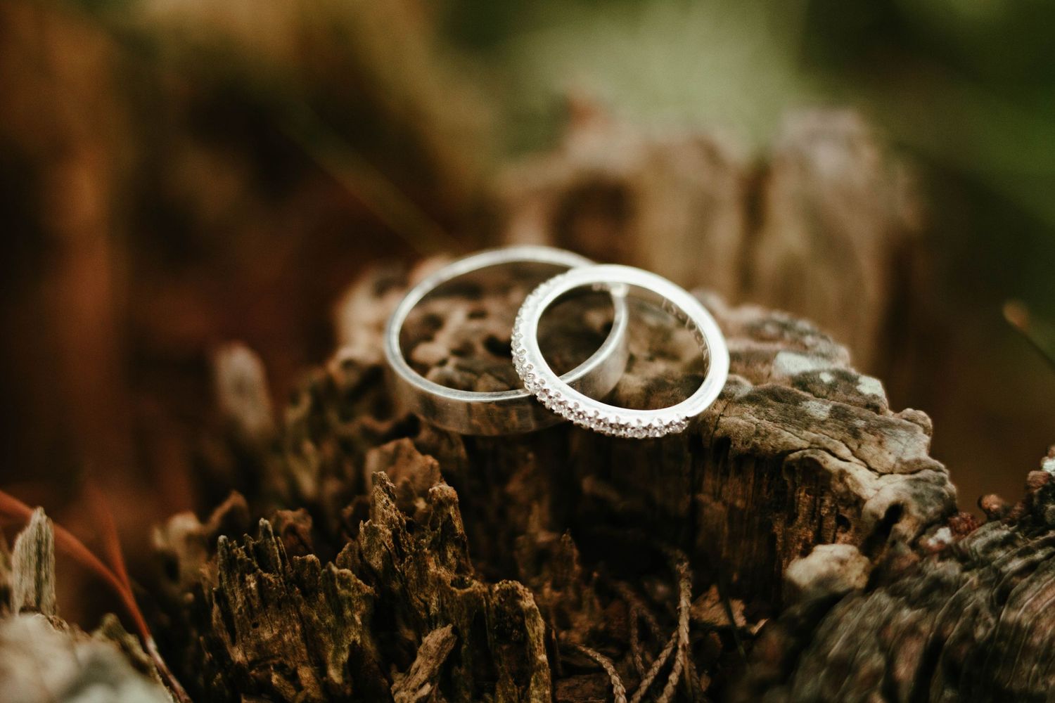 Wedding rings resting on weathered wood and moss in a rustic outdoor setting.