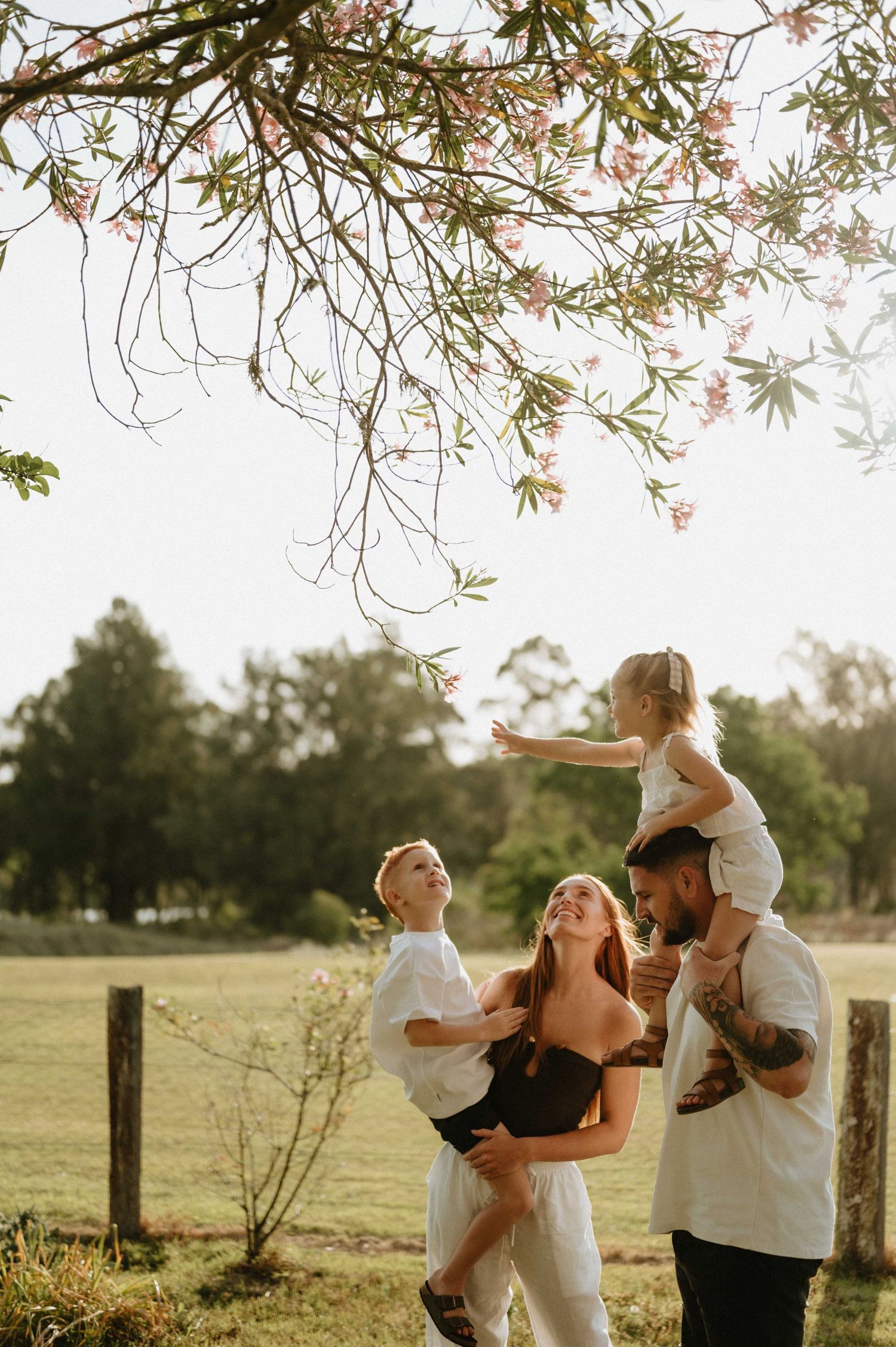 family outdoor sunset session Hawkesbury