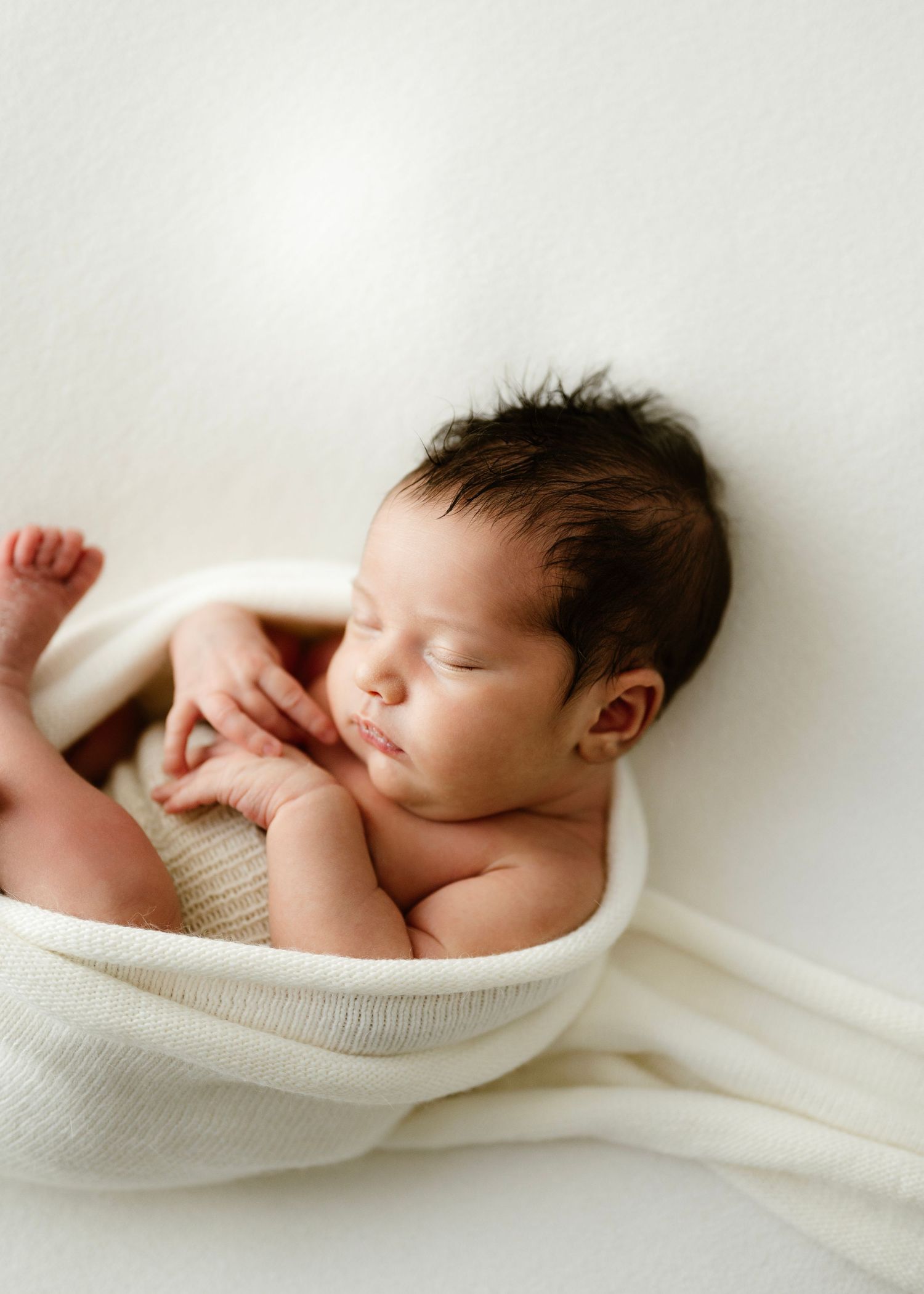 newborn studio session Penrith