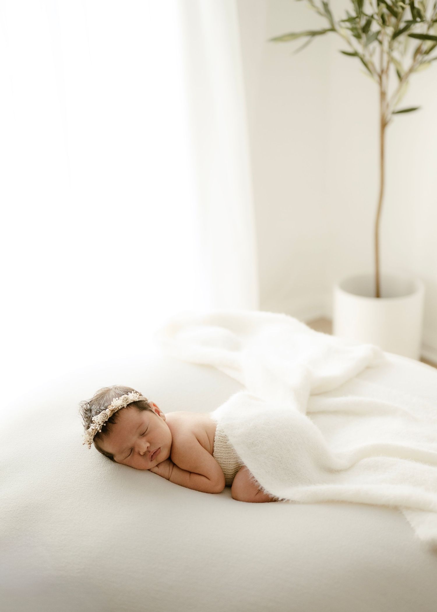 newborn studio session Penrith